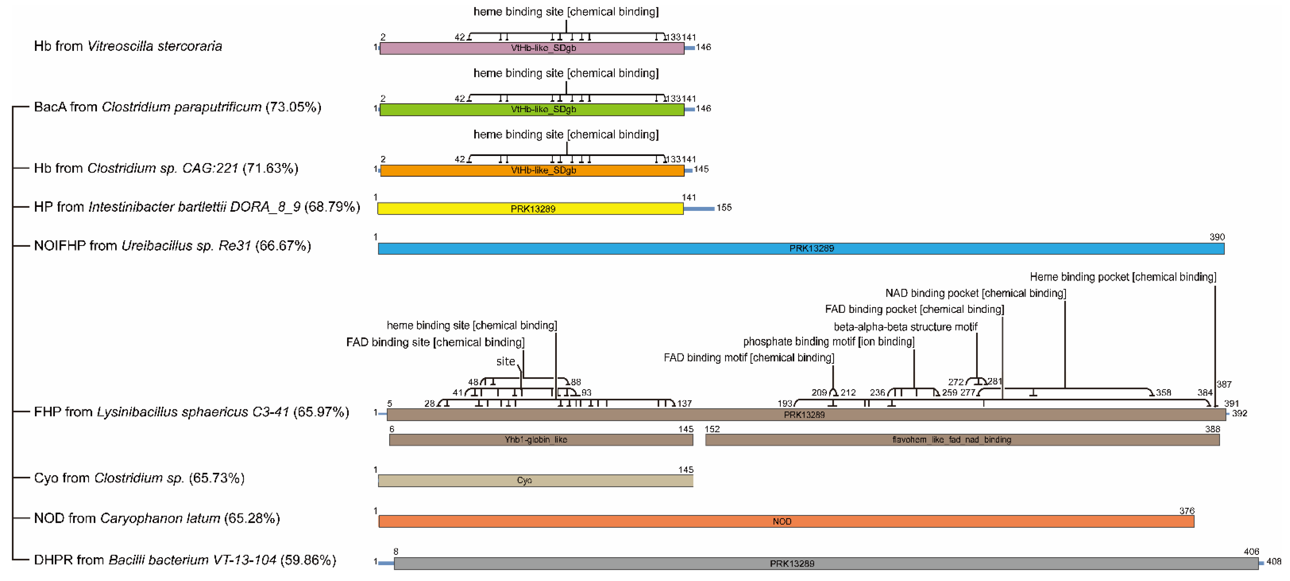 Microorganisms 09 01455 g001 Microorganisms 09 01455 g001