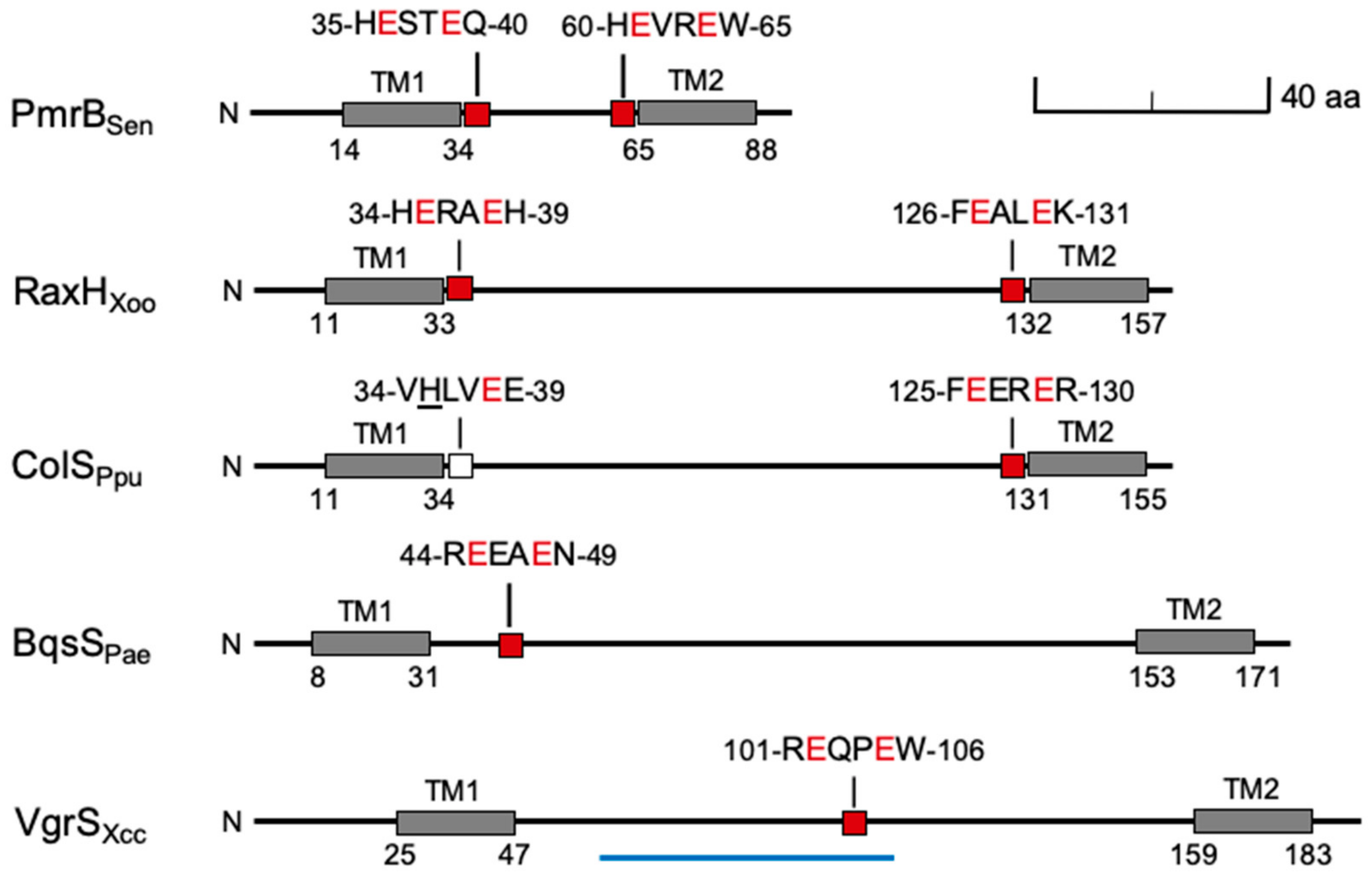 Microorganisms 09 01458 g002 Microorganisms 09 01458 g002