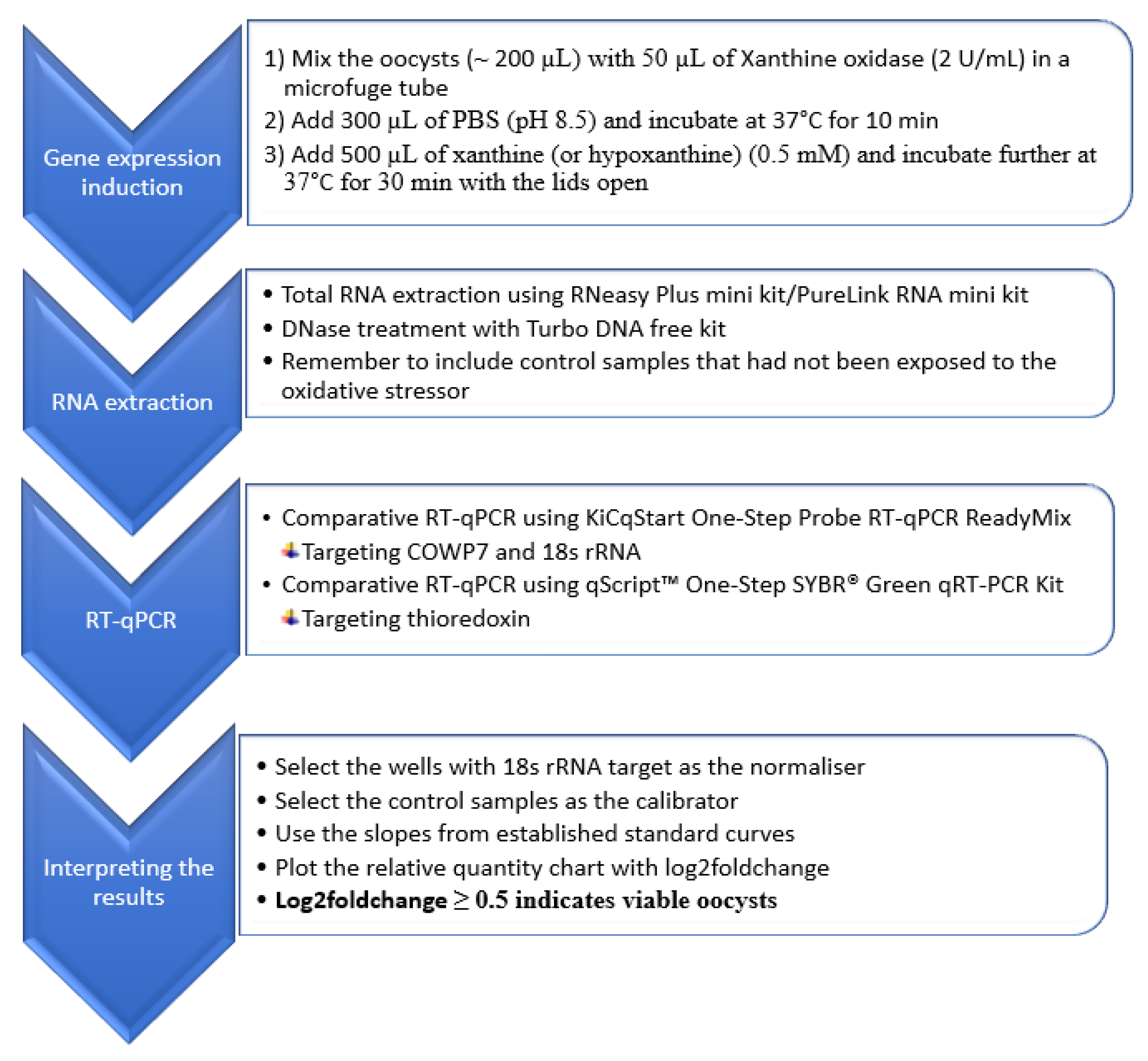Microorganisms 09 01463 g002