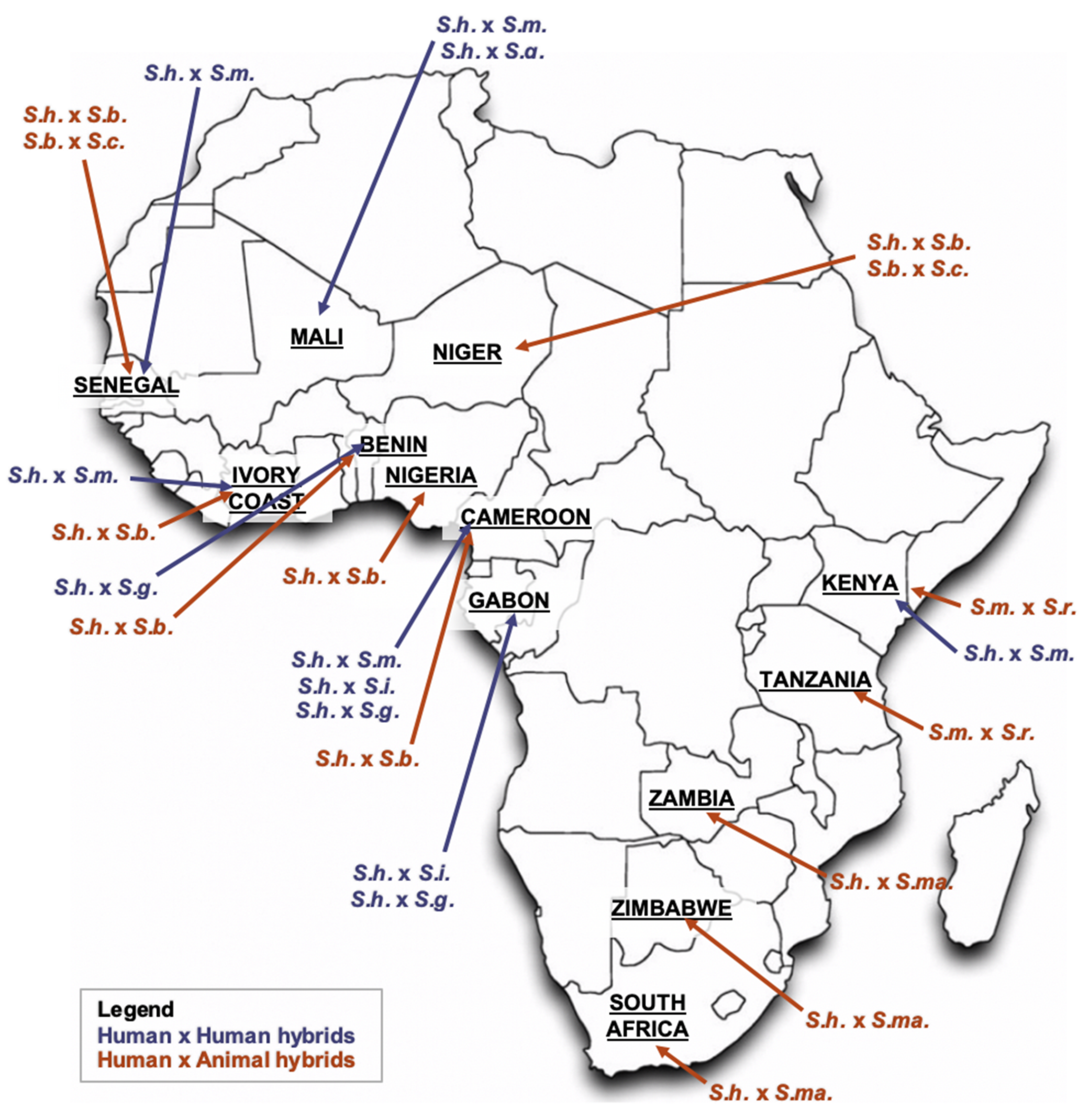 Microorganisms 09 01465 g002 Microorganisms 09 01465 g002