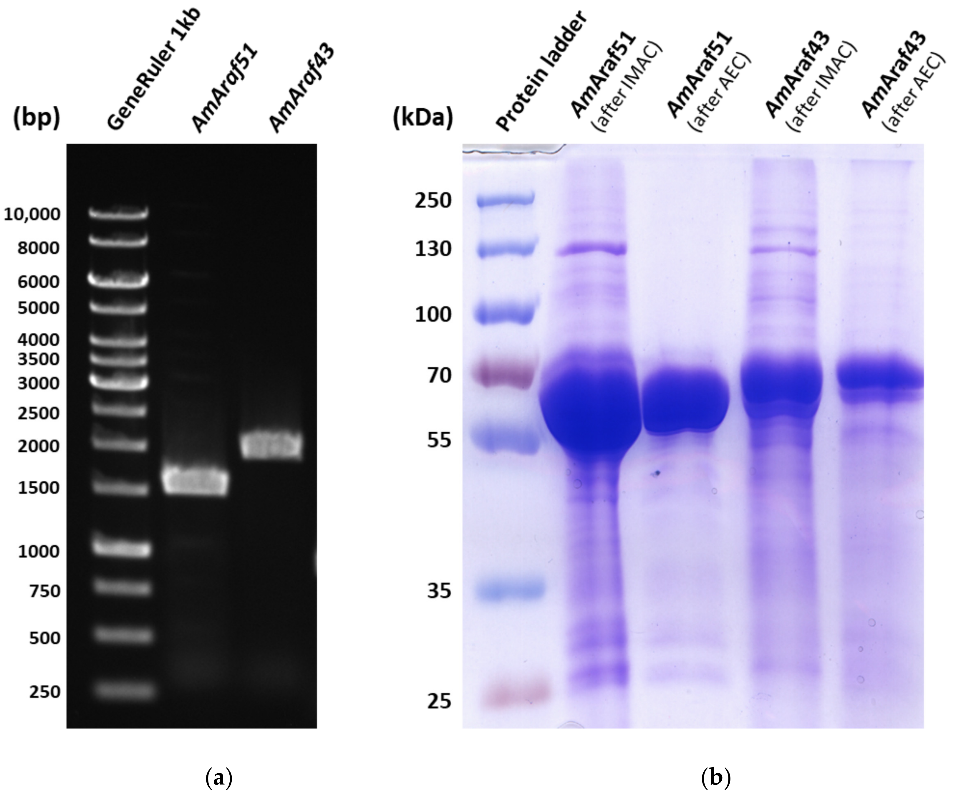 Microorganisms 09 01467 g003