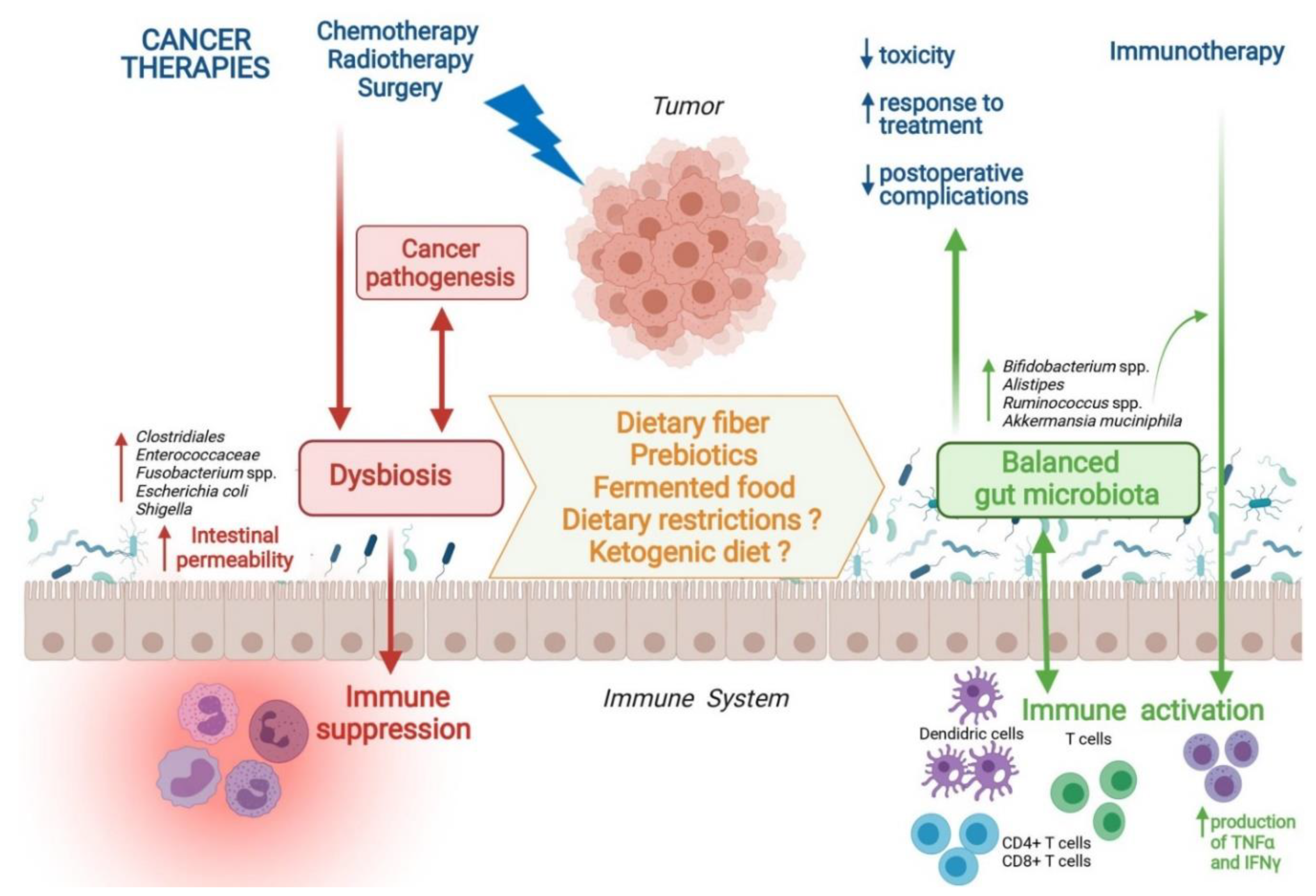 dysbiosis baba