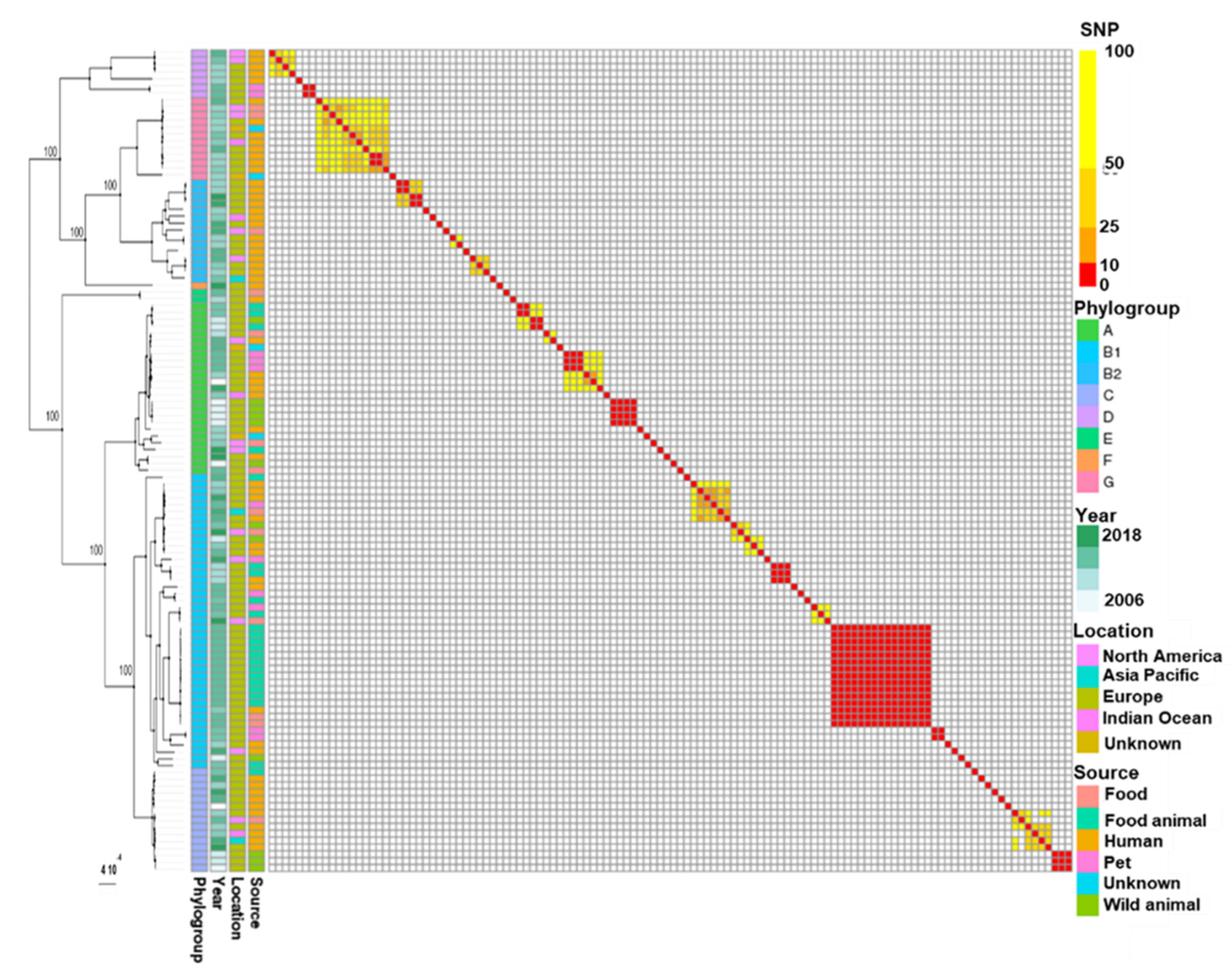 Microorganisms Free Full Text Successful Dissemination Of Plasmid Mediated Extended Spectrum B Lactamases In Enterobacterales Over Humans To Wild Fauna Html Microorganisms Free Full Text Successful Dissemination Of Plasmid Mediated Extended Spectrum B Lactamases In Enterobacterales Over Humans To Wild Fauna Html