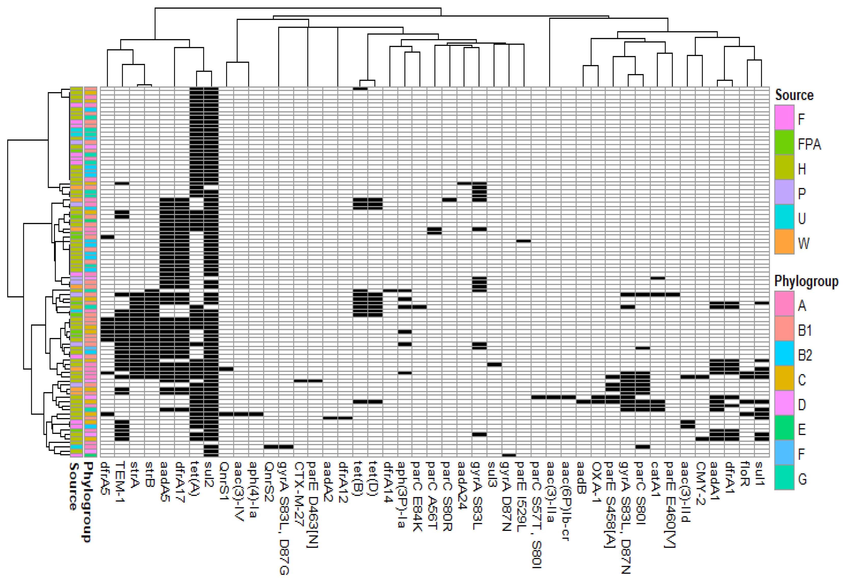 Microorganisms Free Full Text Successful Dissemination Of Plasmid Mediated Extended Spectrum B Lactamases In Enterobacterales Over Humans To Wild Fauna Html