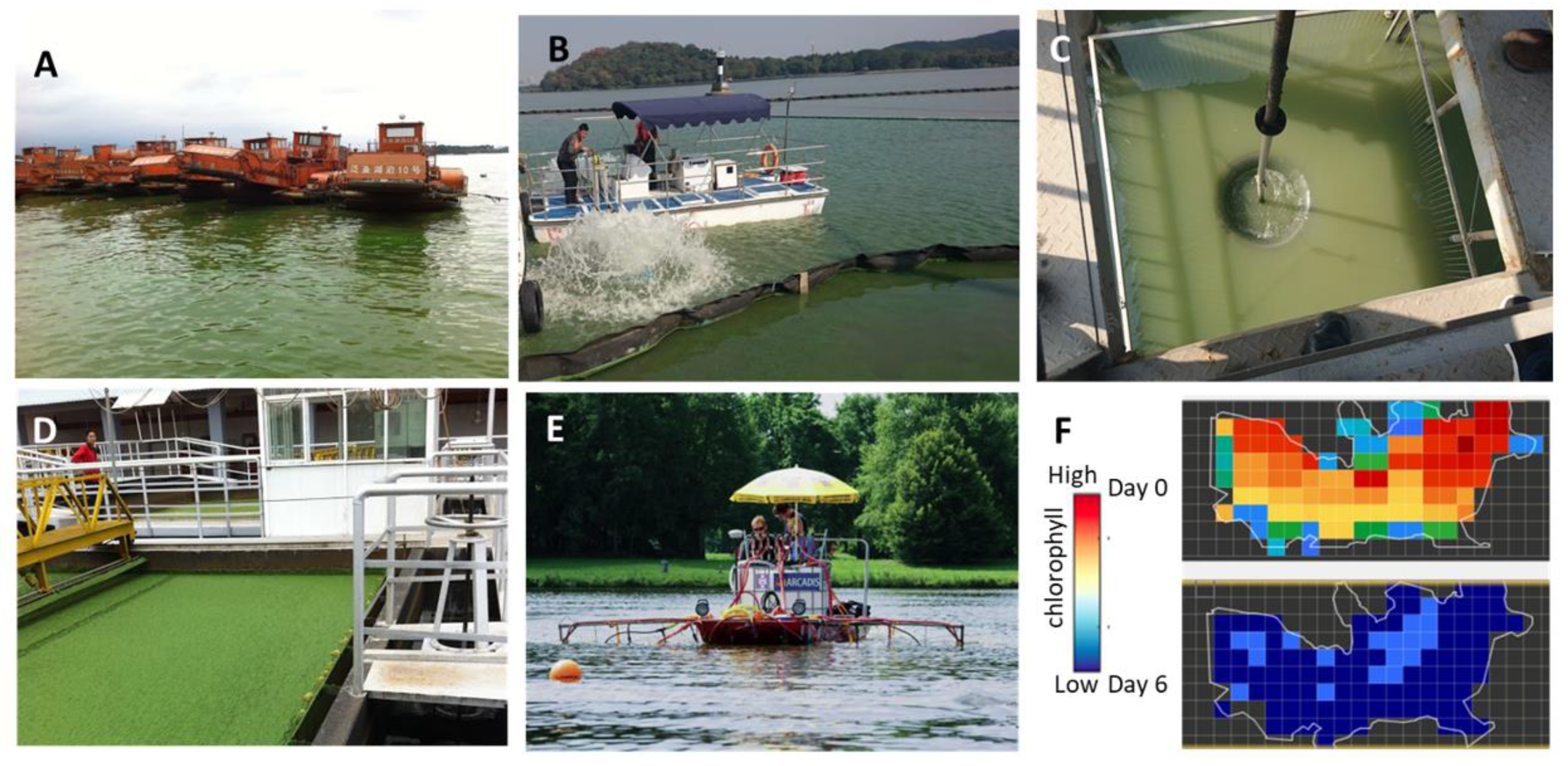 Cyanobacterial Harmful Algal Blooms in Aquatic Ecosystems: A