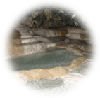 Microorganisms 09 01473 i006