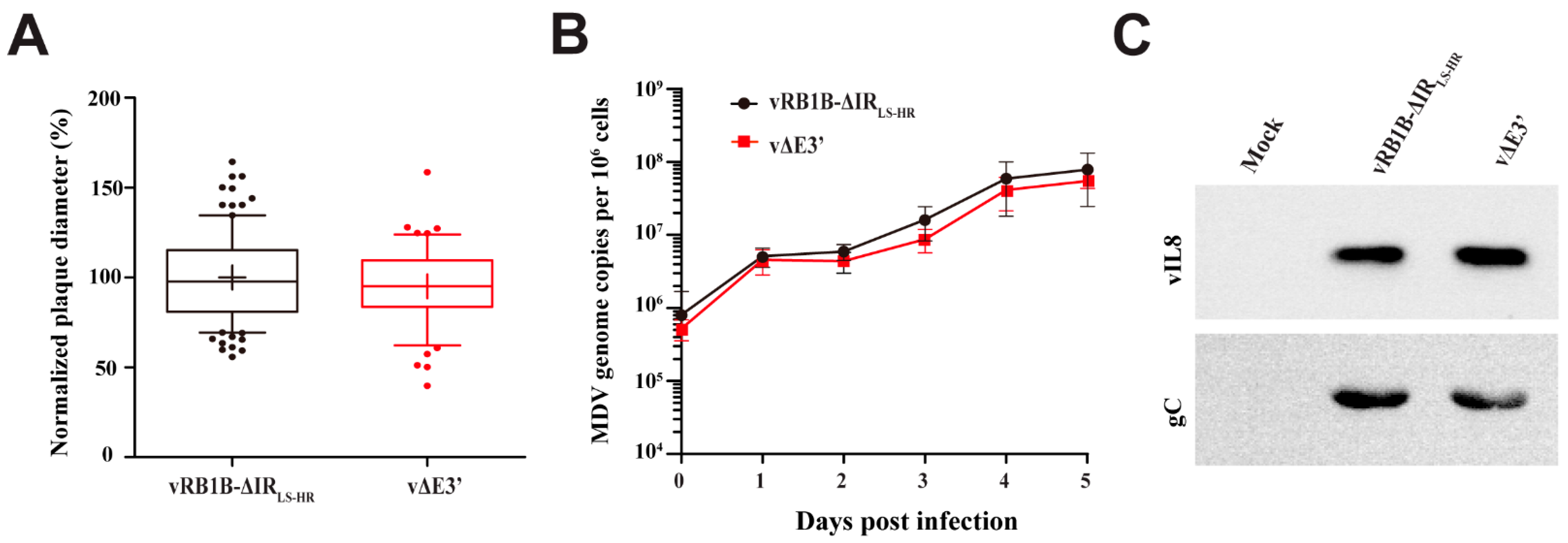 Microorganisms 09 01475 g002 Microorganisms 09 01475 g002