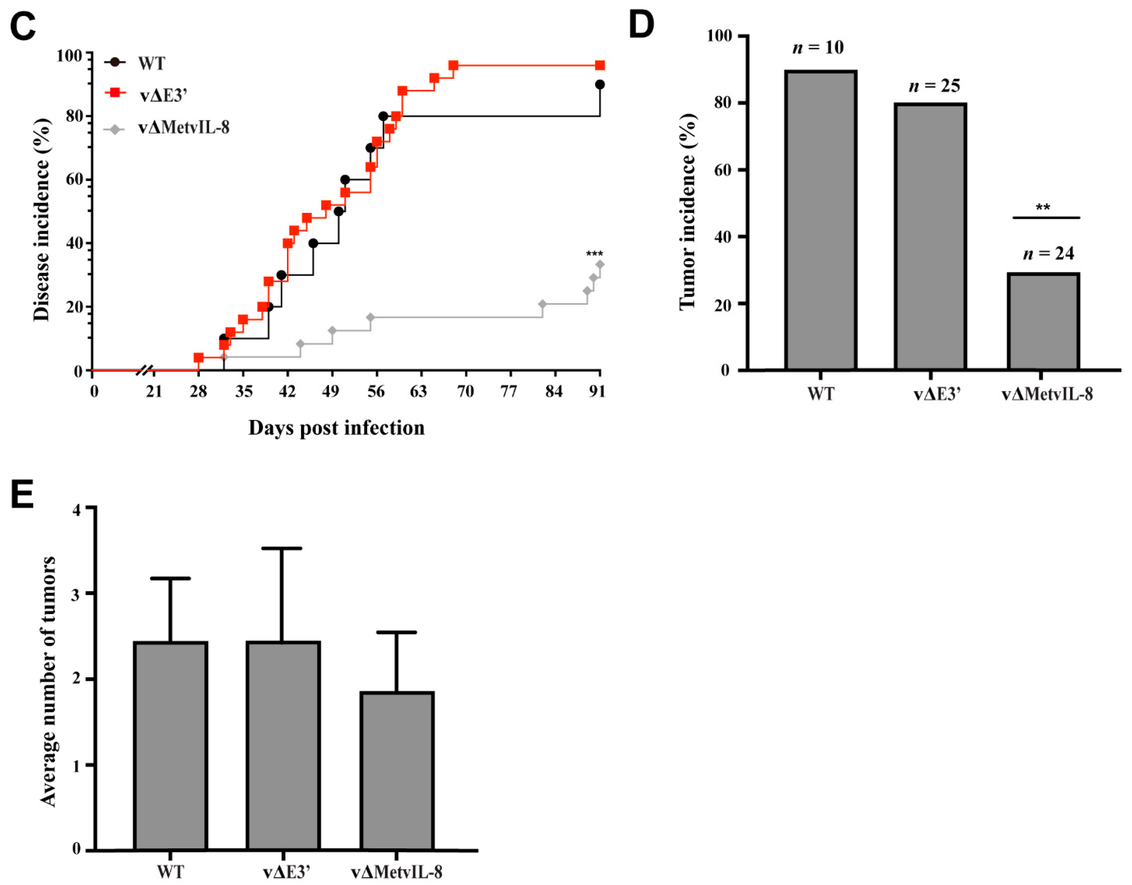 Microorganisms 09 01475 g003b Microorganisms 09 01475 g003b