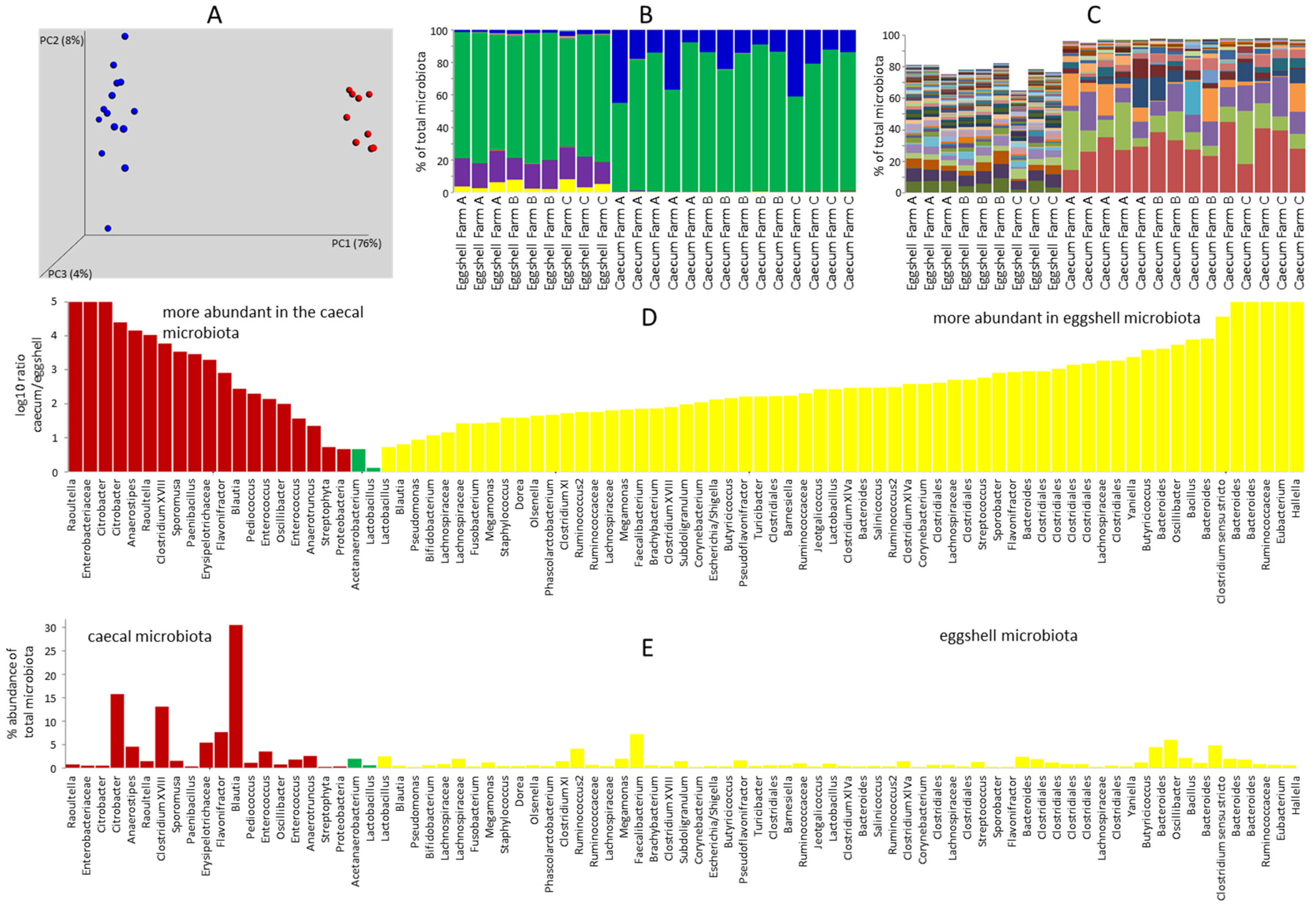 Microorganisms 09 01480 g001