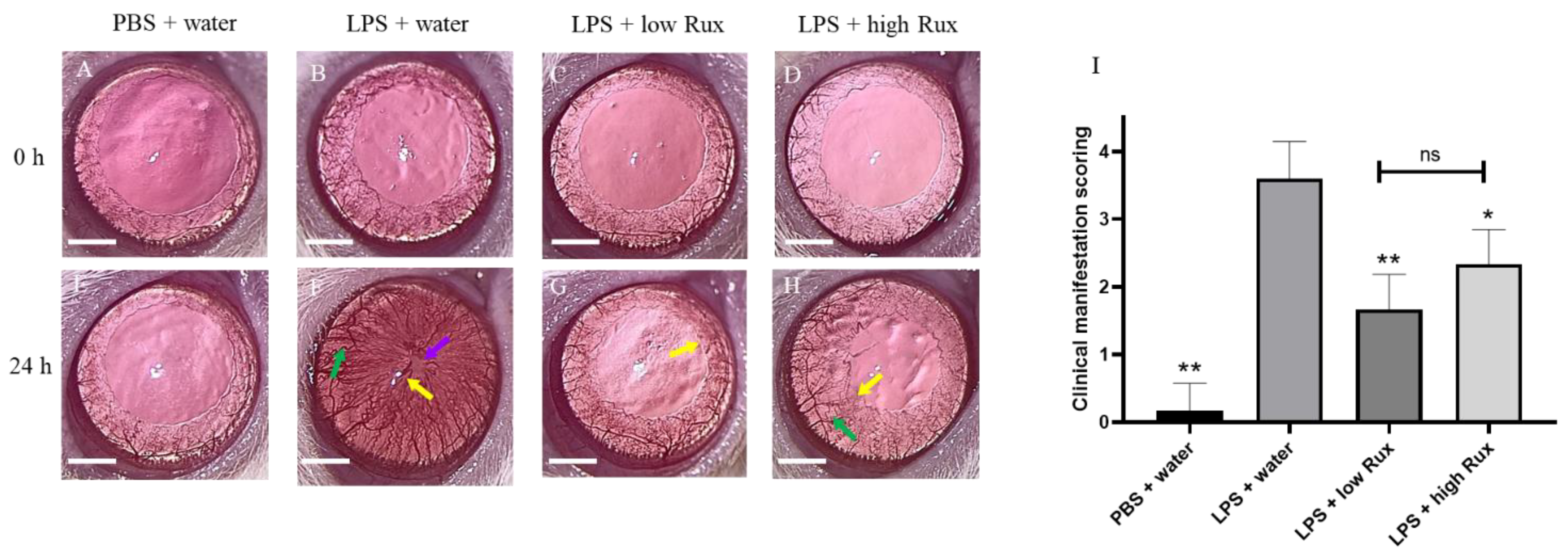 Microorganisms 09 01481 g001