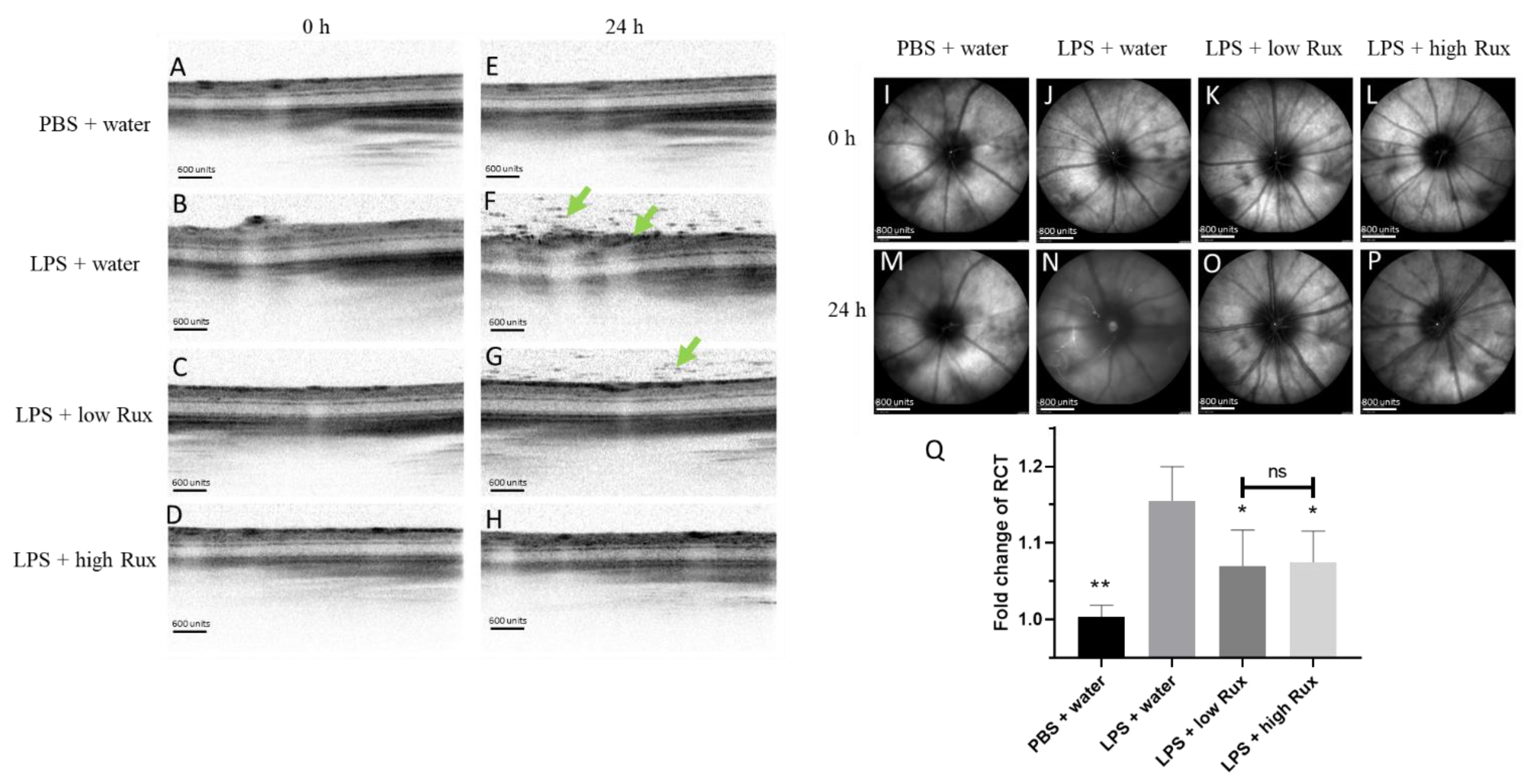 Microorganisms 09 01481 g002