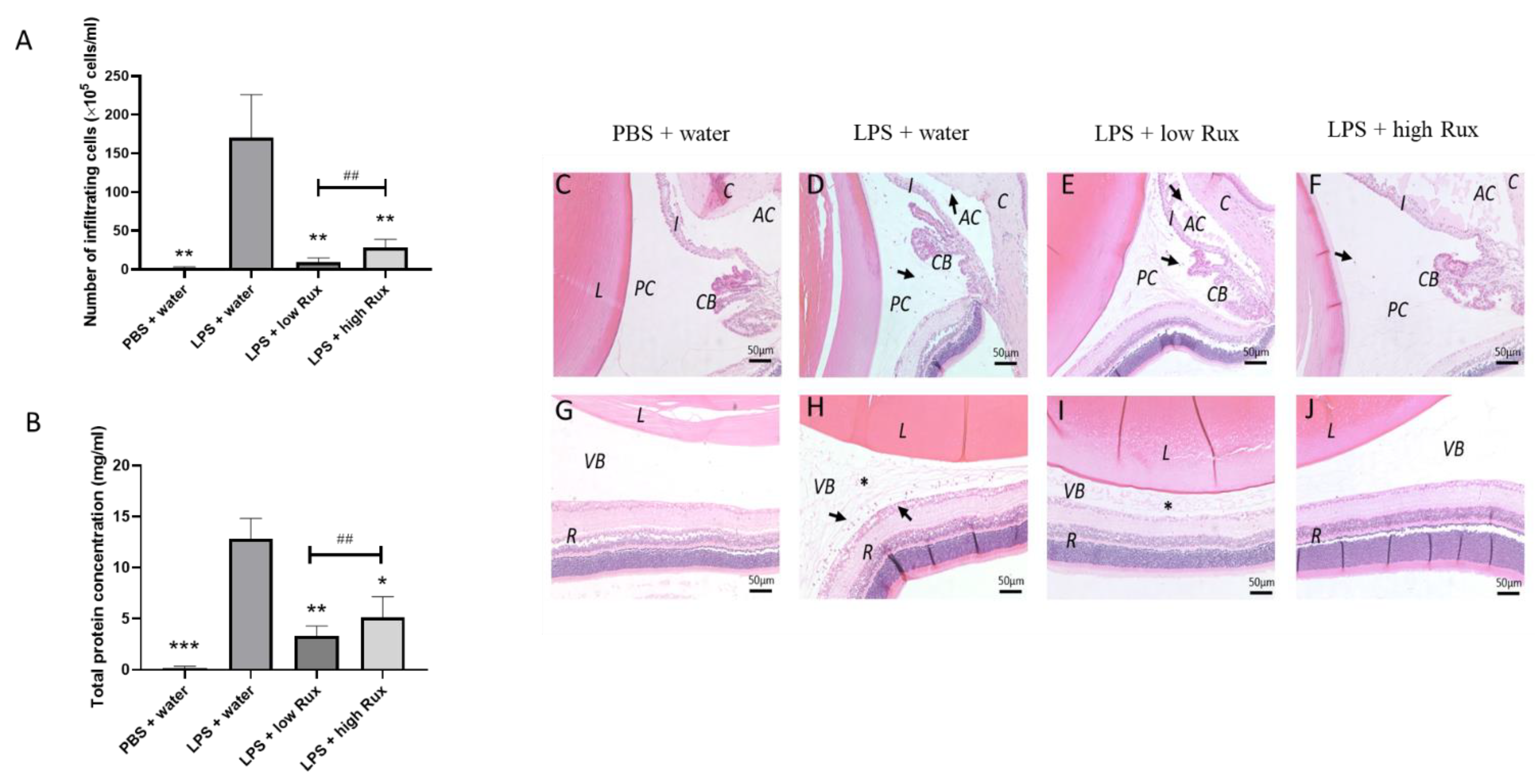 Microorganisms 09 01481 g004