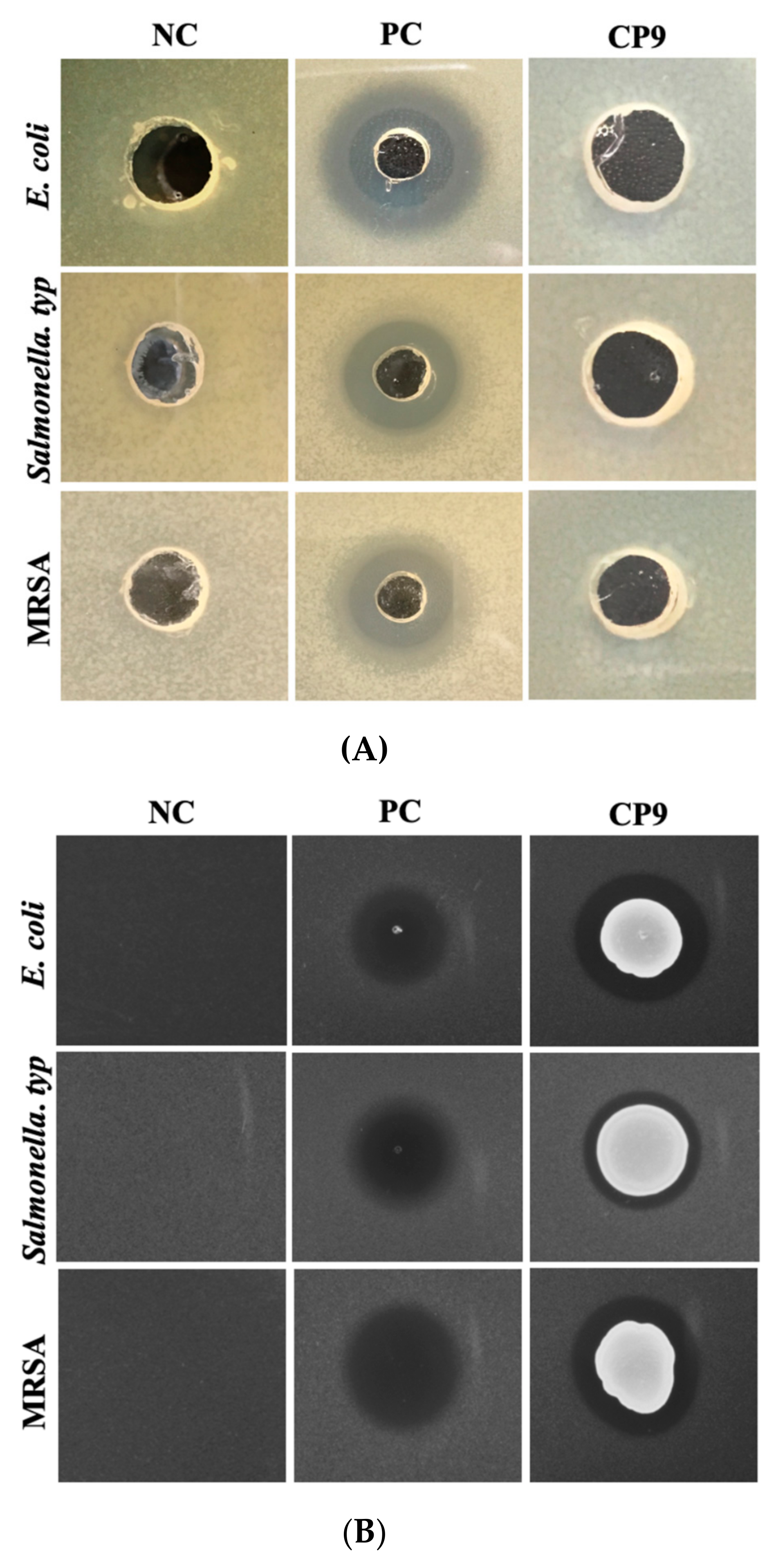 Microorganisms 09 01483 g003a Microorganisms 09 01483 g003a