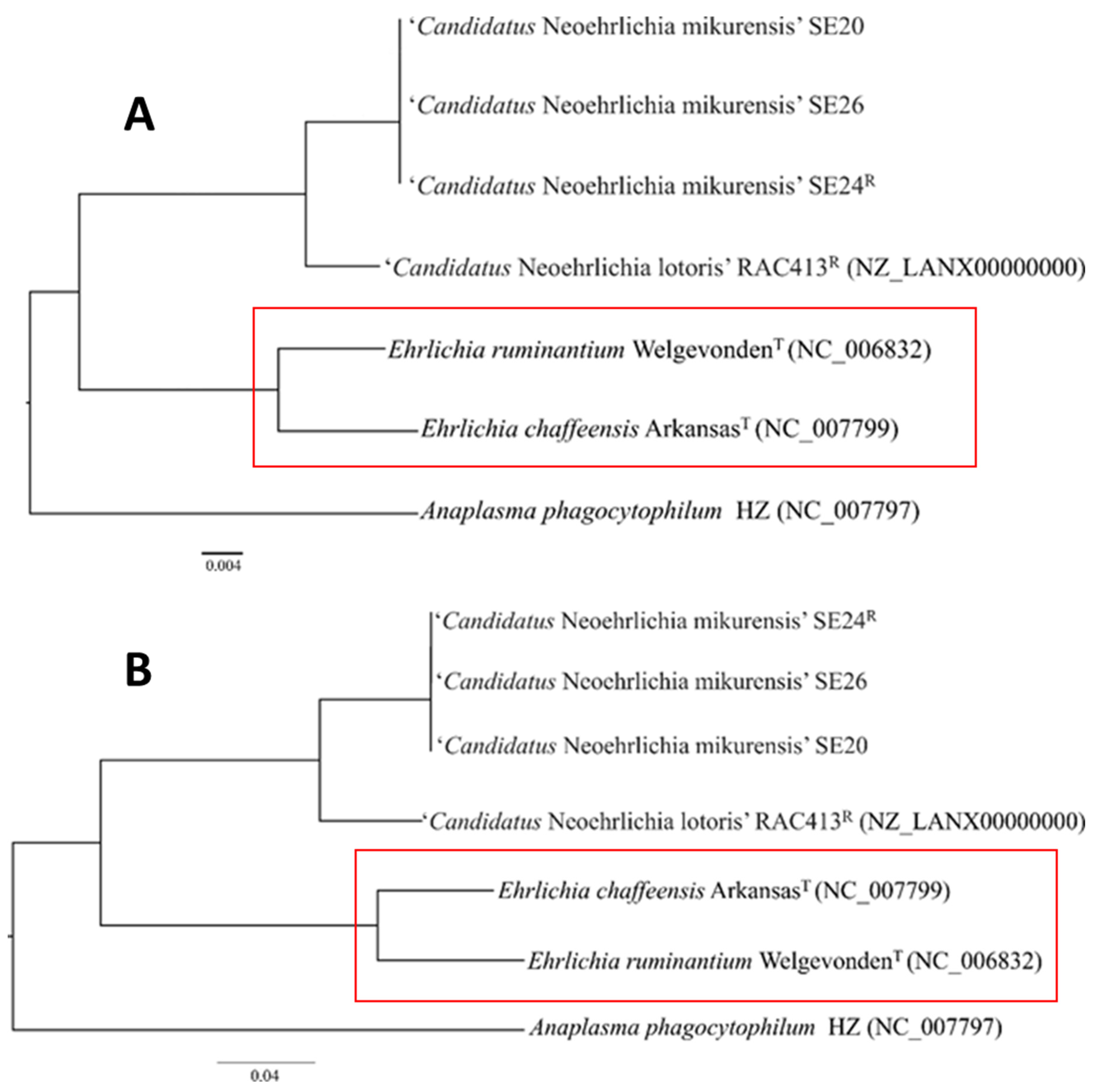 Microorganisms 09 01488 g004