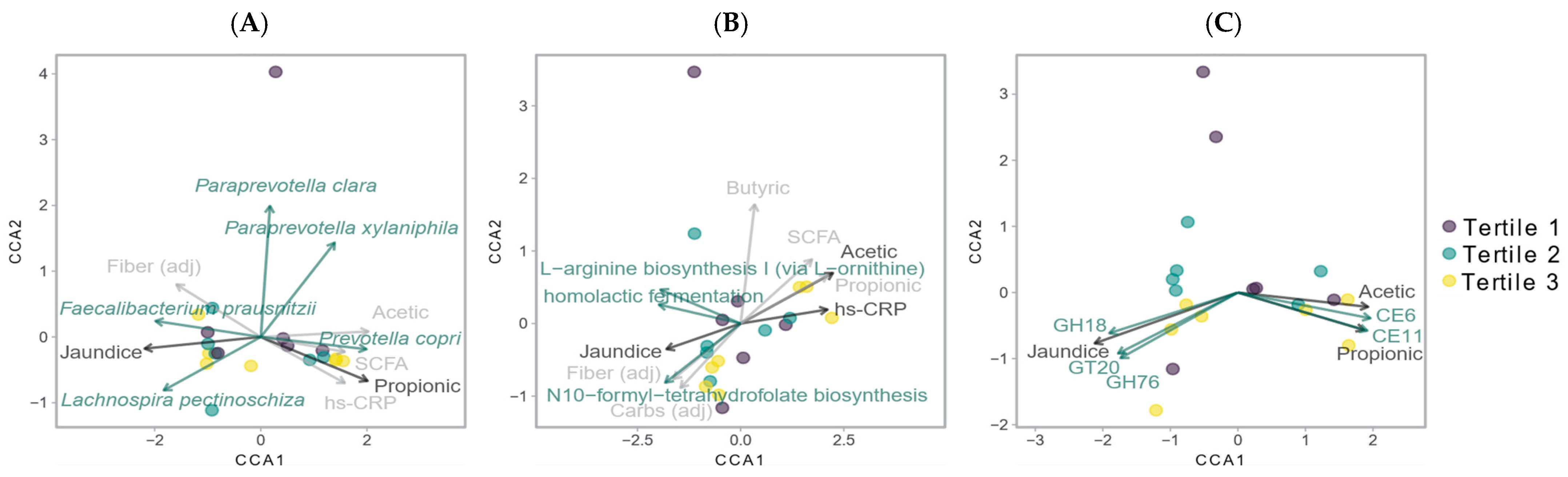 Microorganisms 09 01490 g002