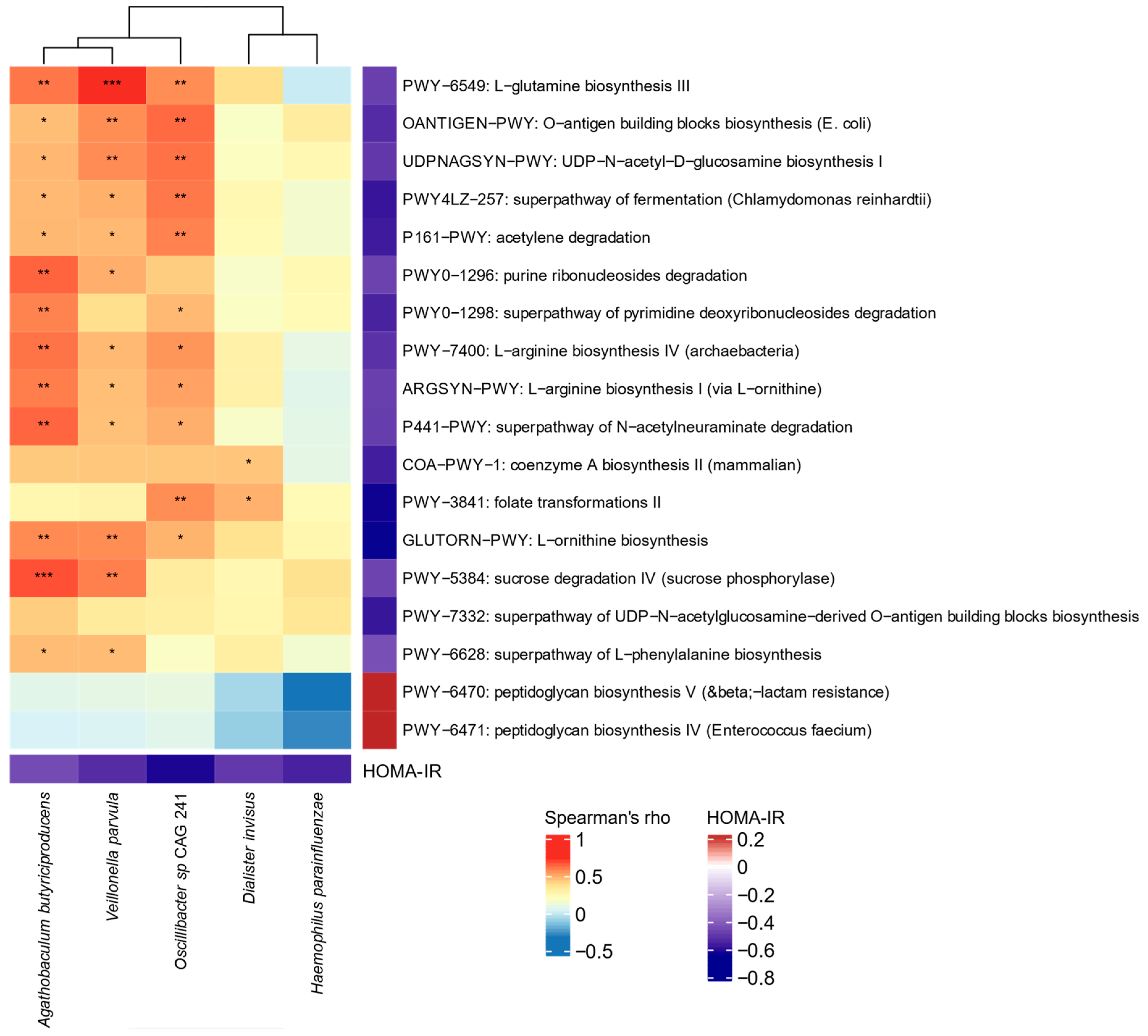 Microorganisms 09 01490 g003