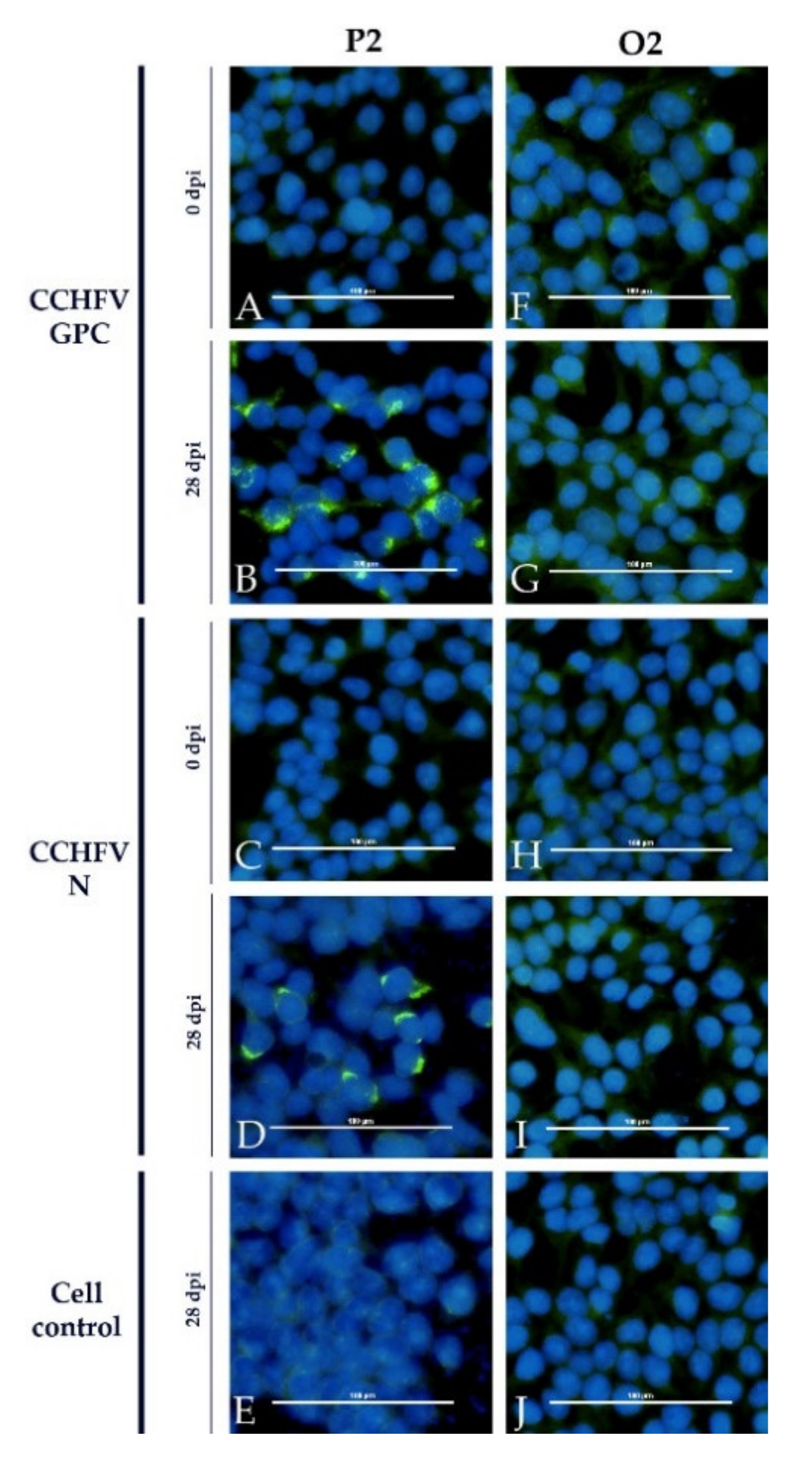 Microorganisms 09 01493 g006