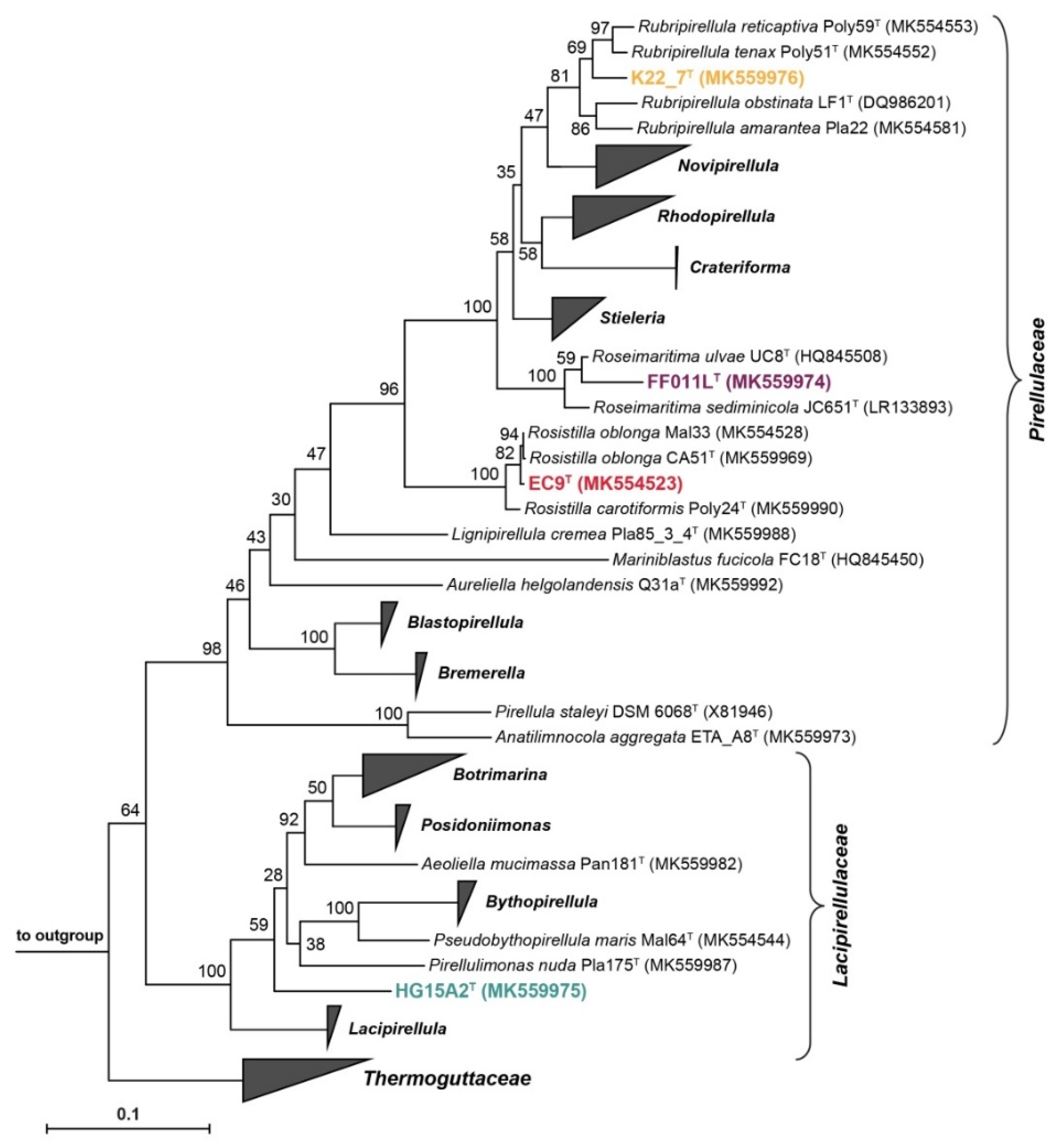 Microorganisms 09 01494 g008