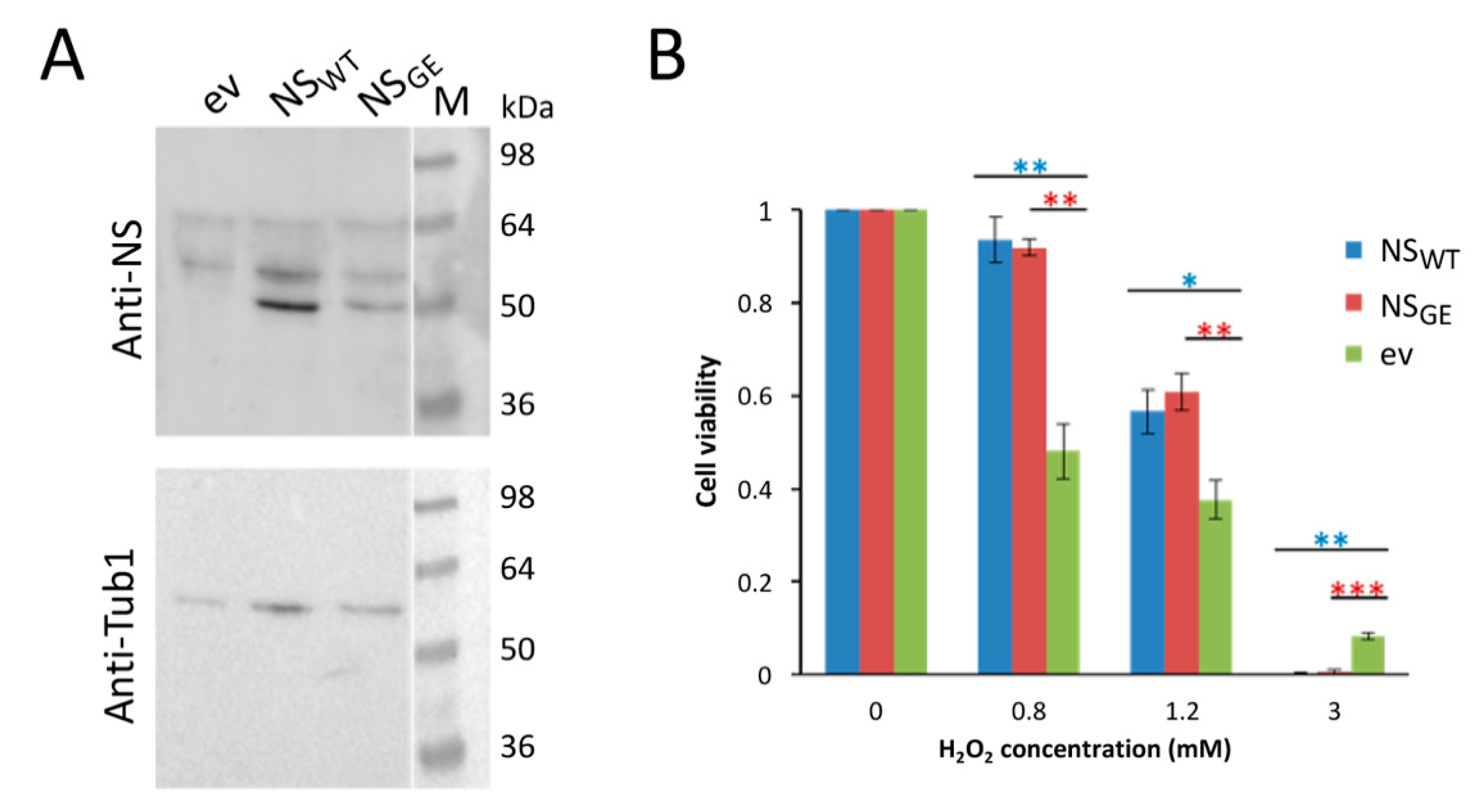 Microorganisms 09 01498 g002 Microorganisms 09 01498 g002