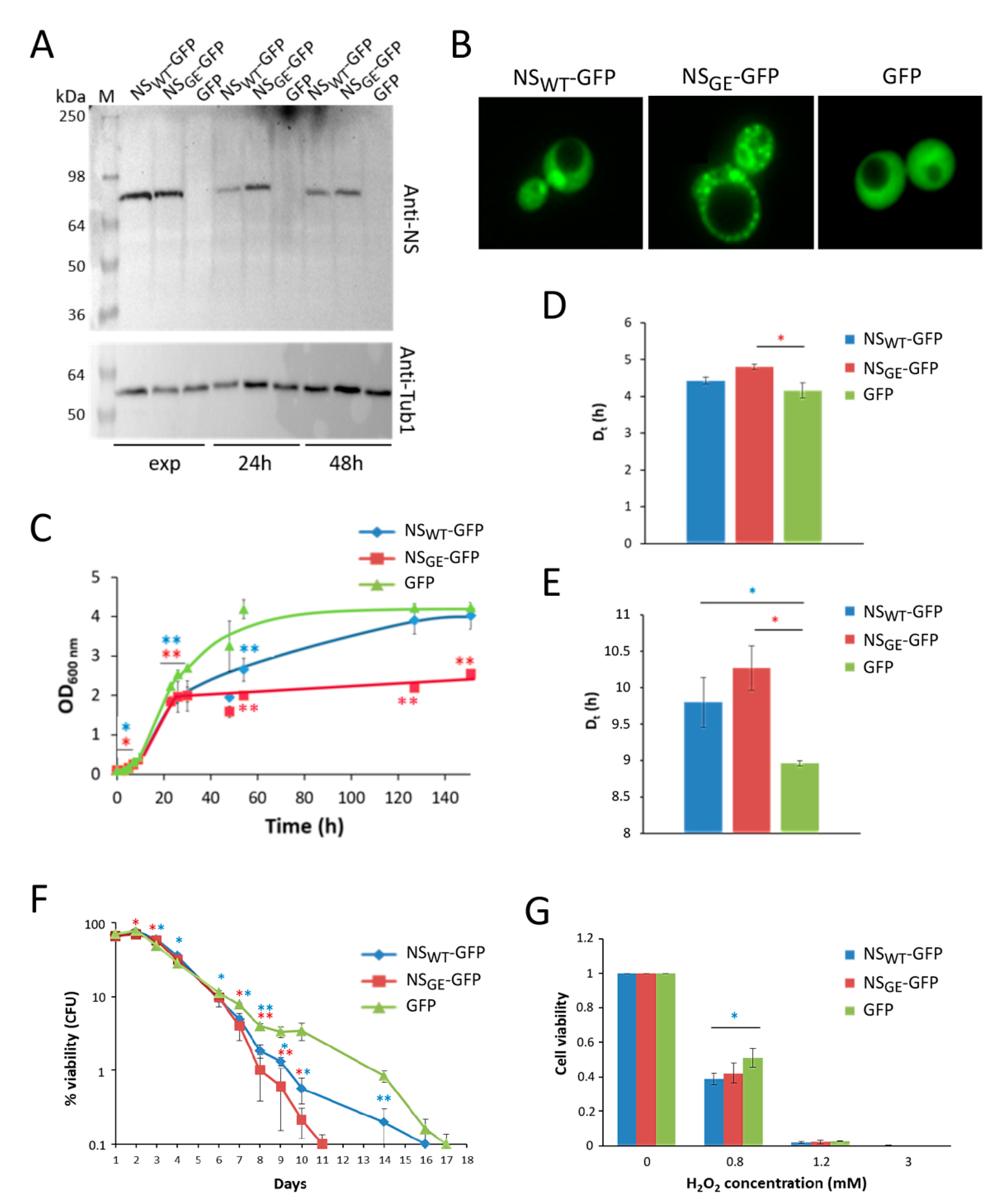 Microorganisms 09 01498 g004 Microorganisms 09 01498 g004