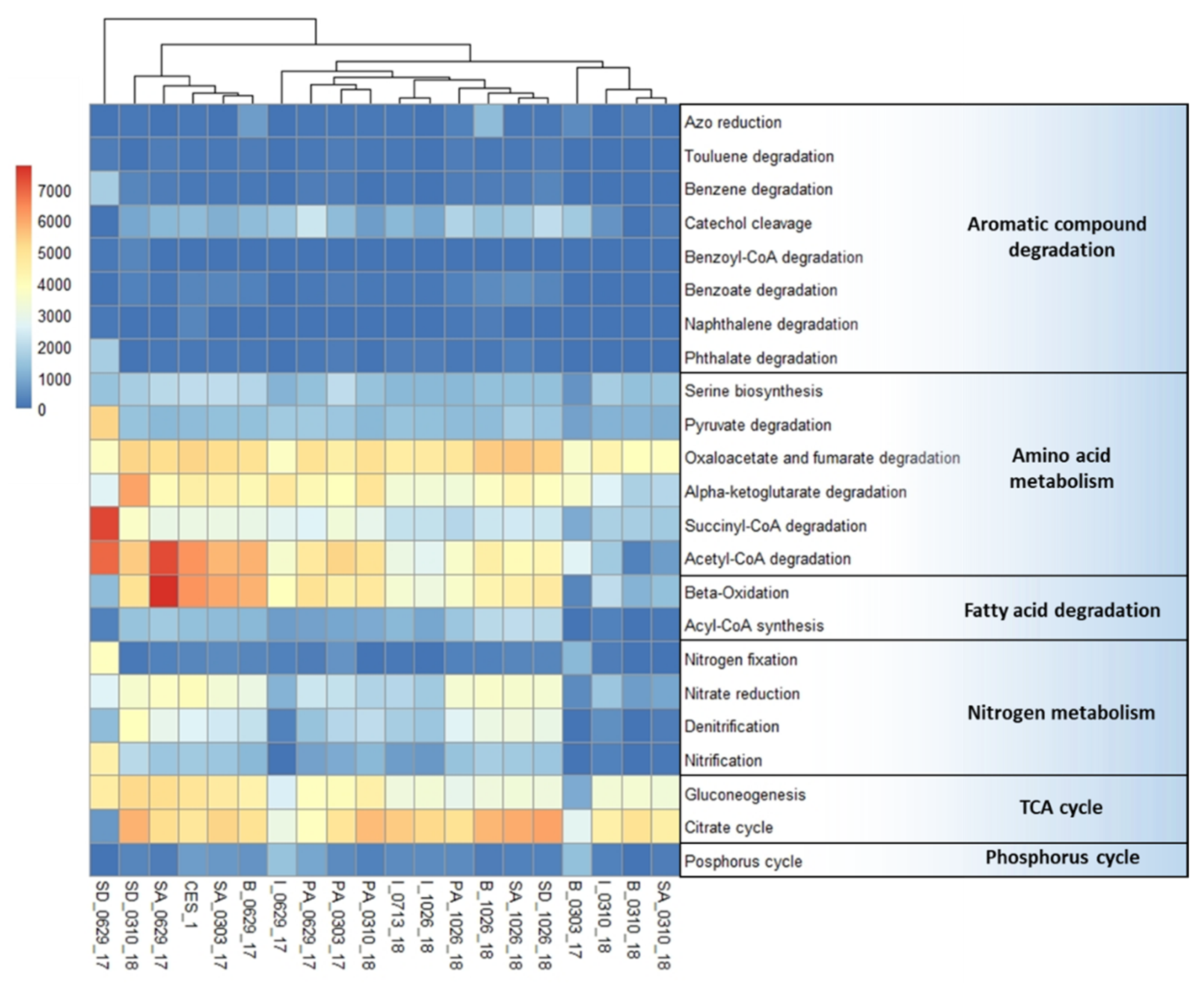 Microorganisms 09 01503 g003 550