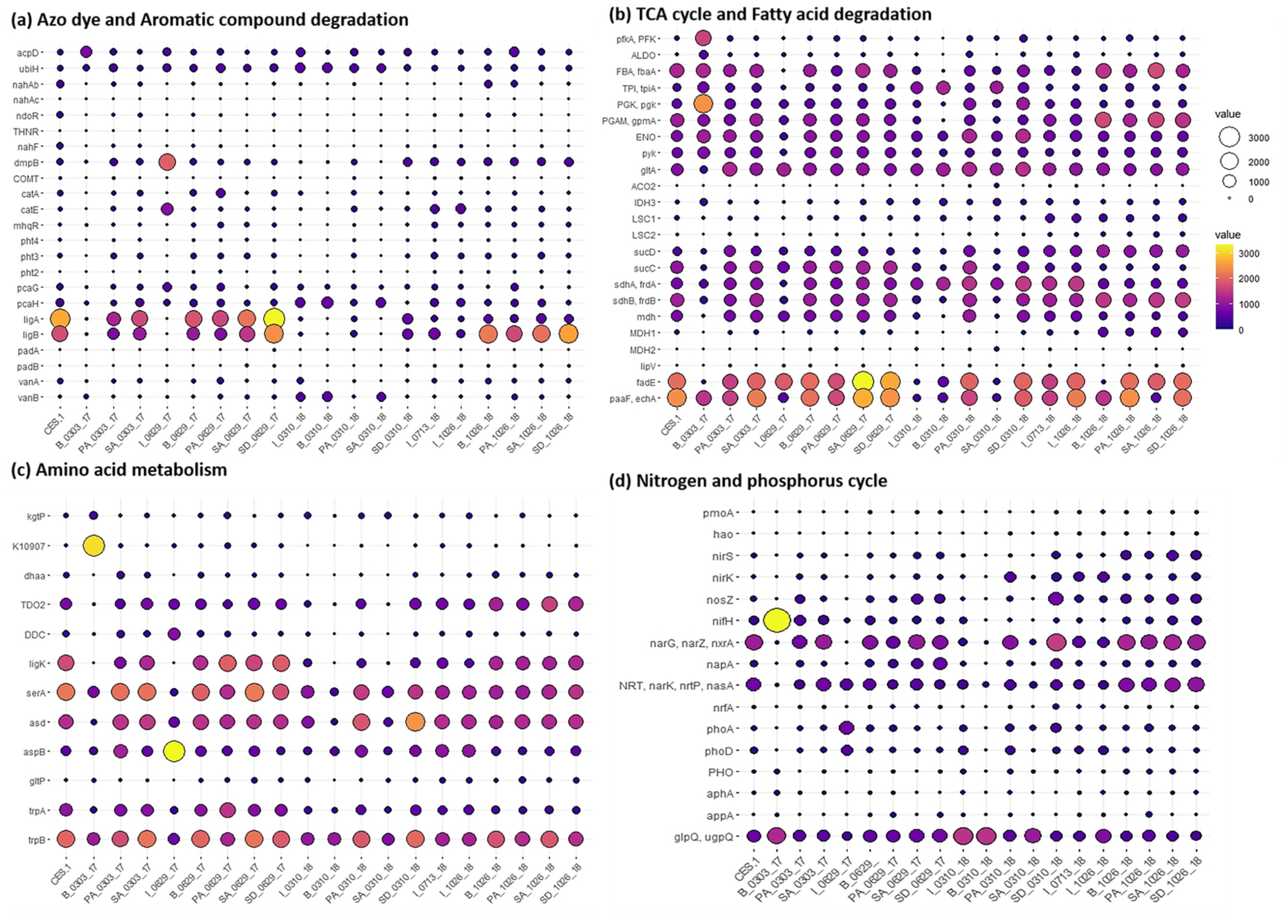 Microorganisms 09 01503 g004 550