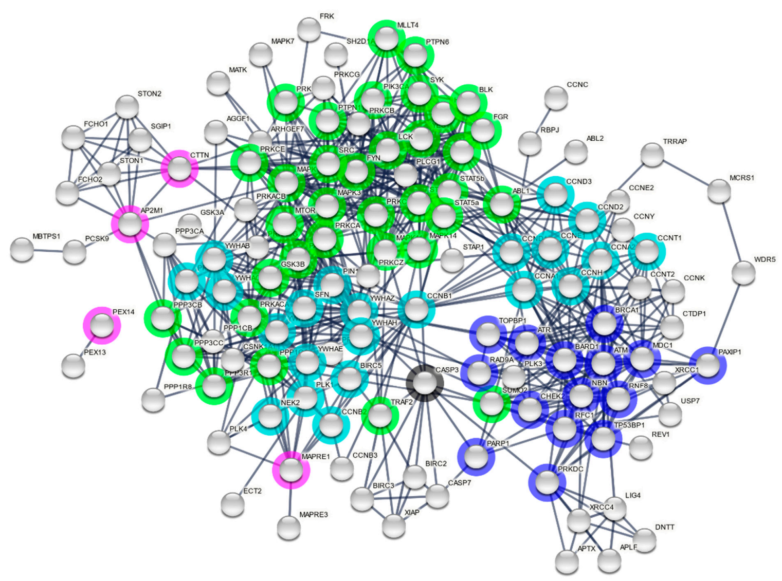 Microorganisms 09 01509 g003