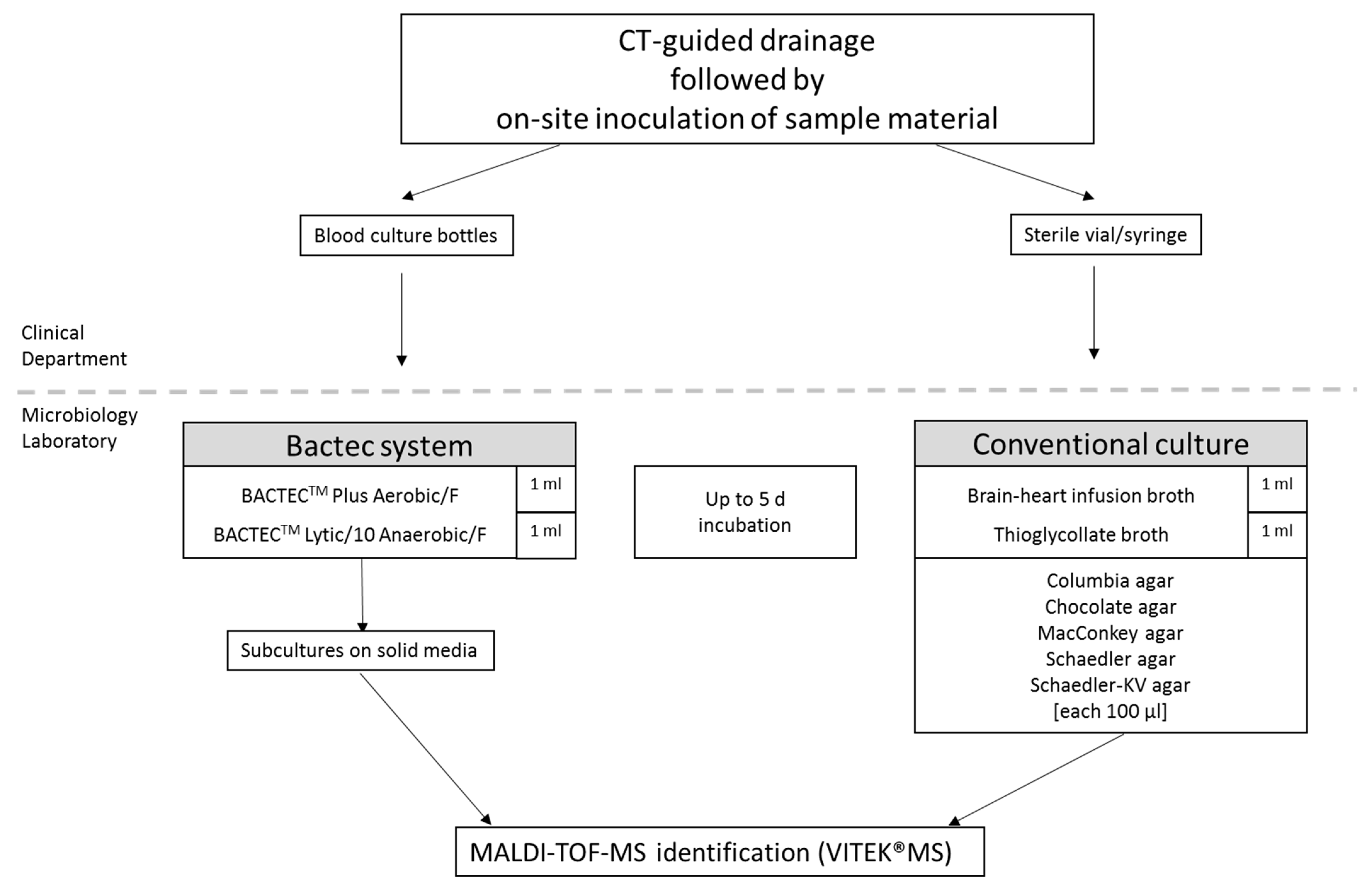 Microorganisms 09 01510 g001 Microorganisms 09 01510 g001