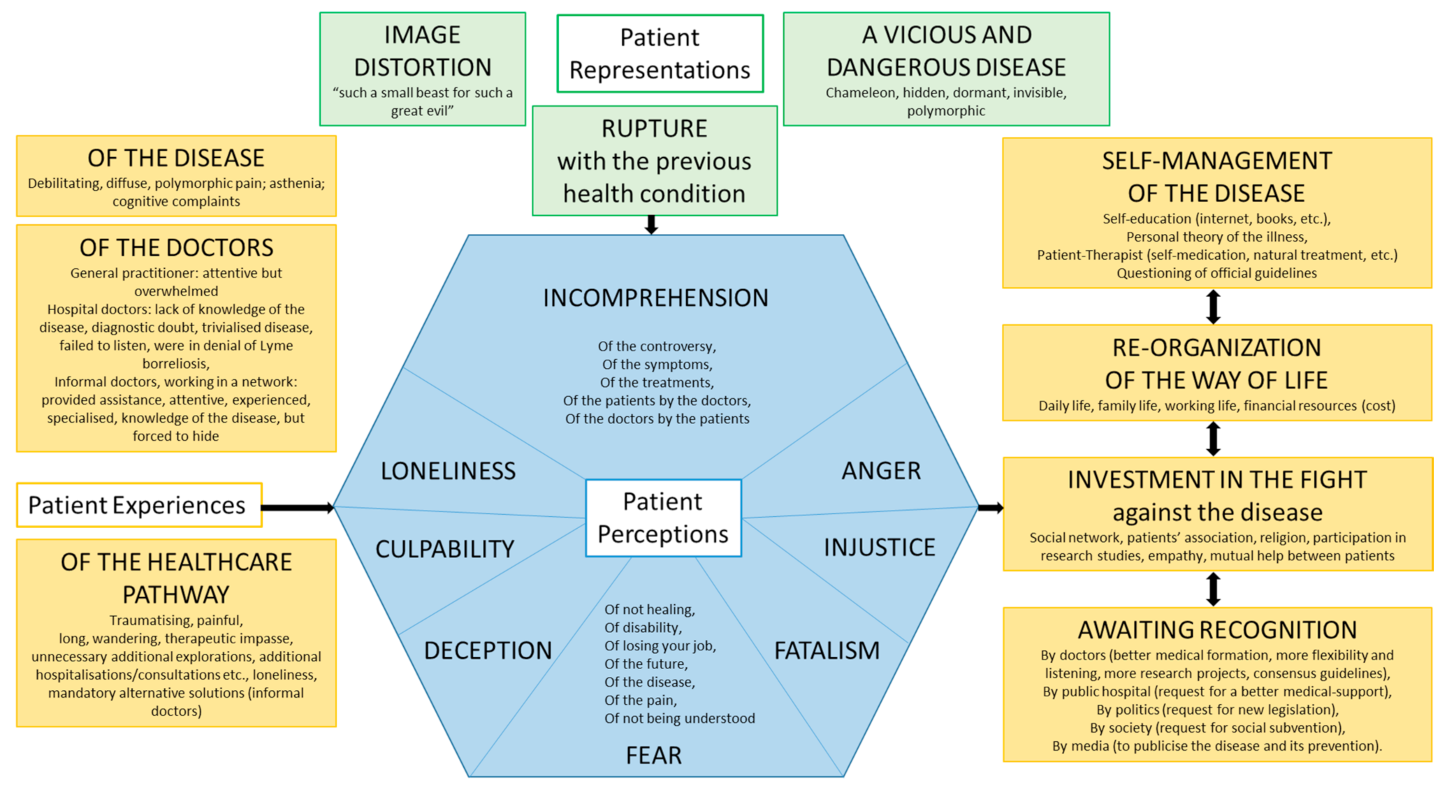 Microorganisms 09 01515 g001