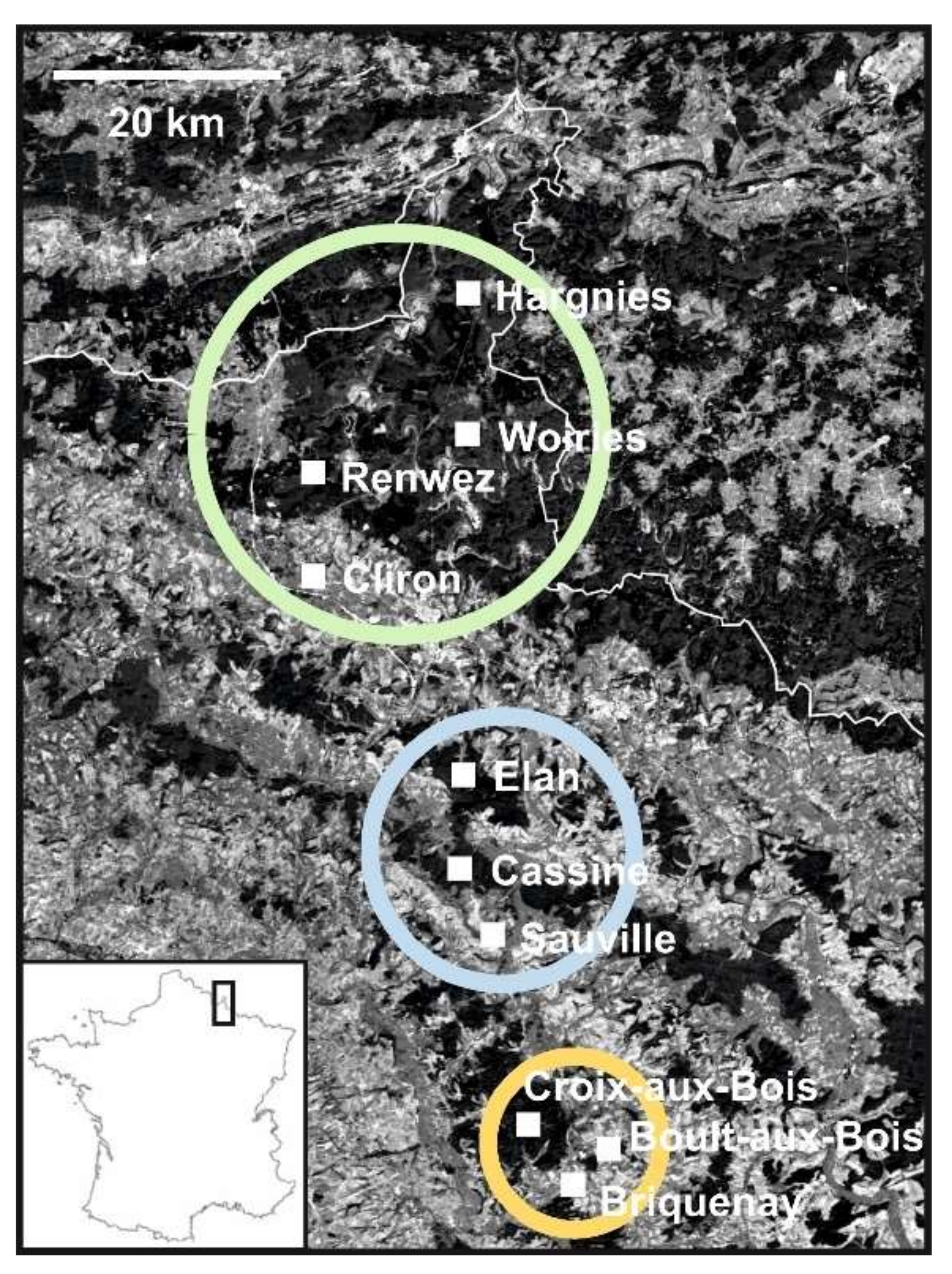 Microorganisms 09 01516 g001