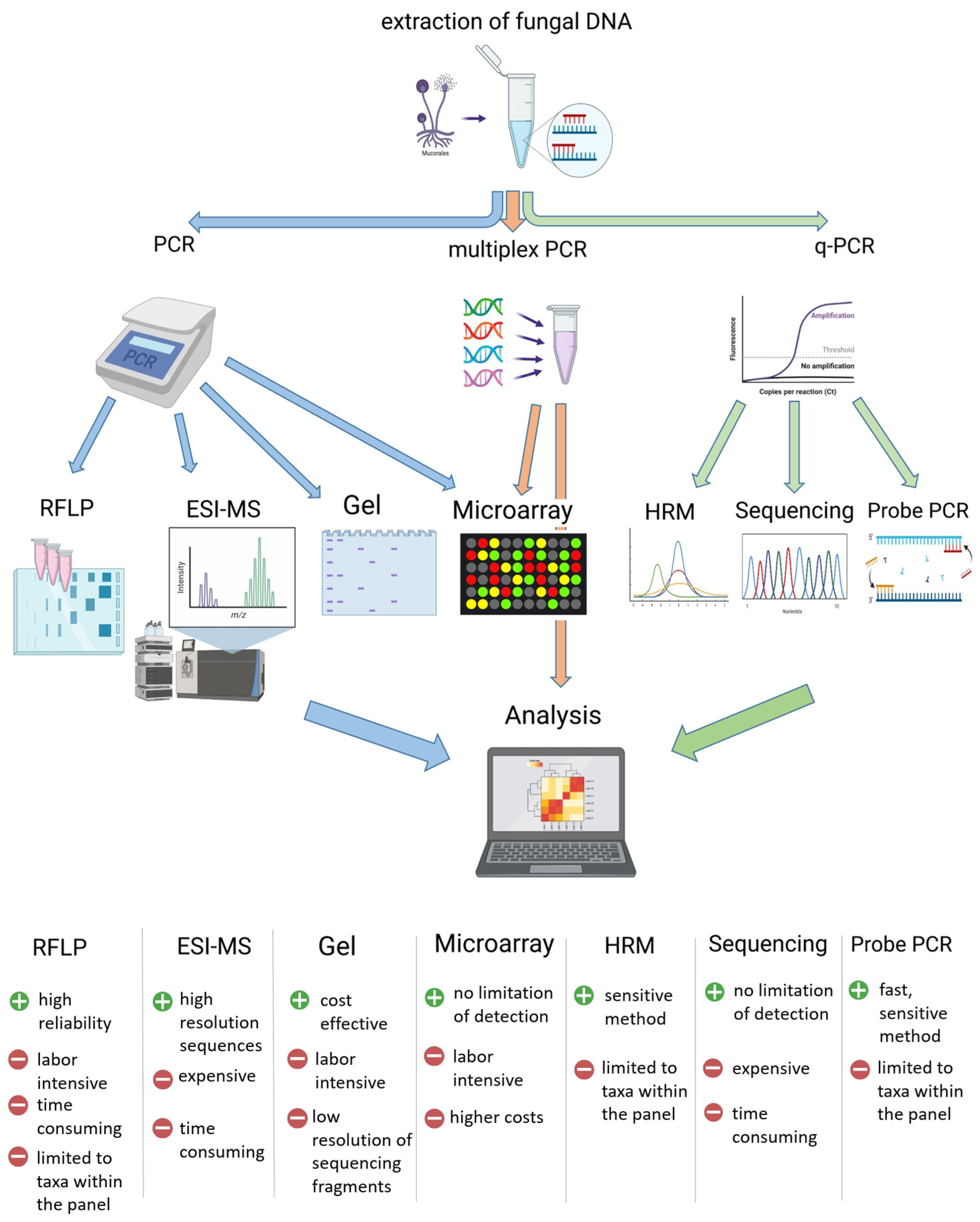 Microorganisms 09 01518 g002 Microorganisms 09 01518 g002