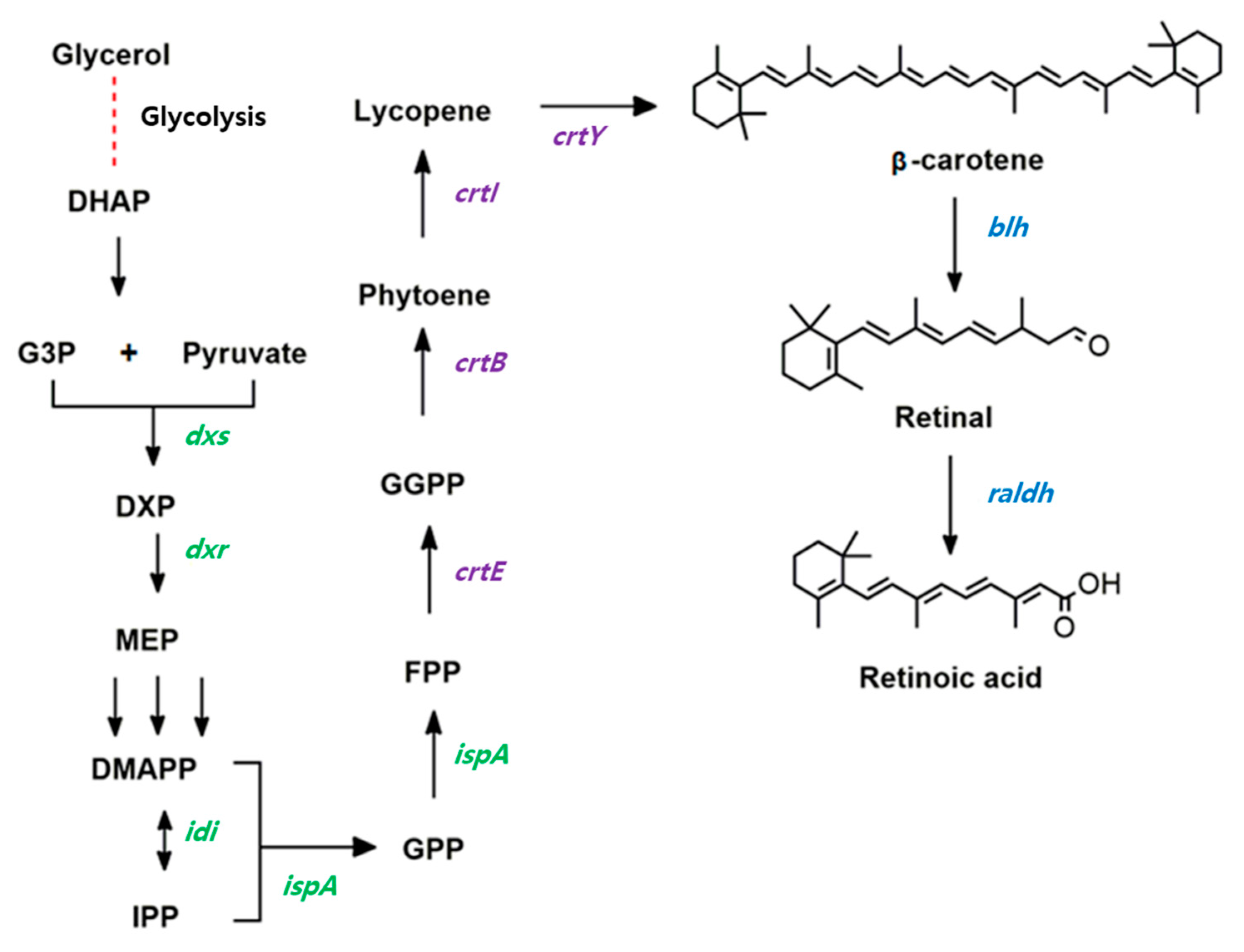 Microorganisms 09 01520 g001