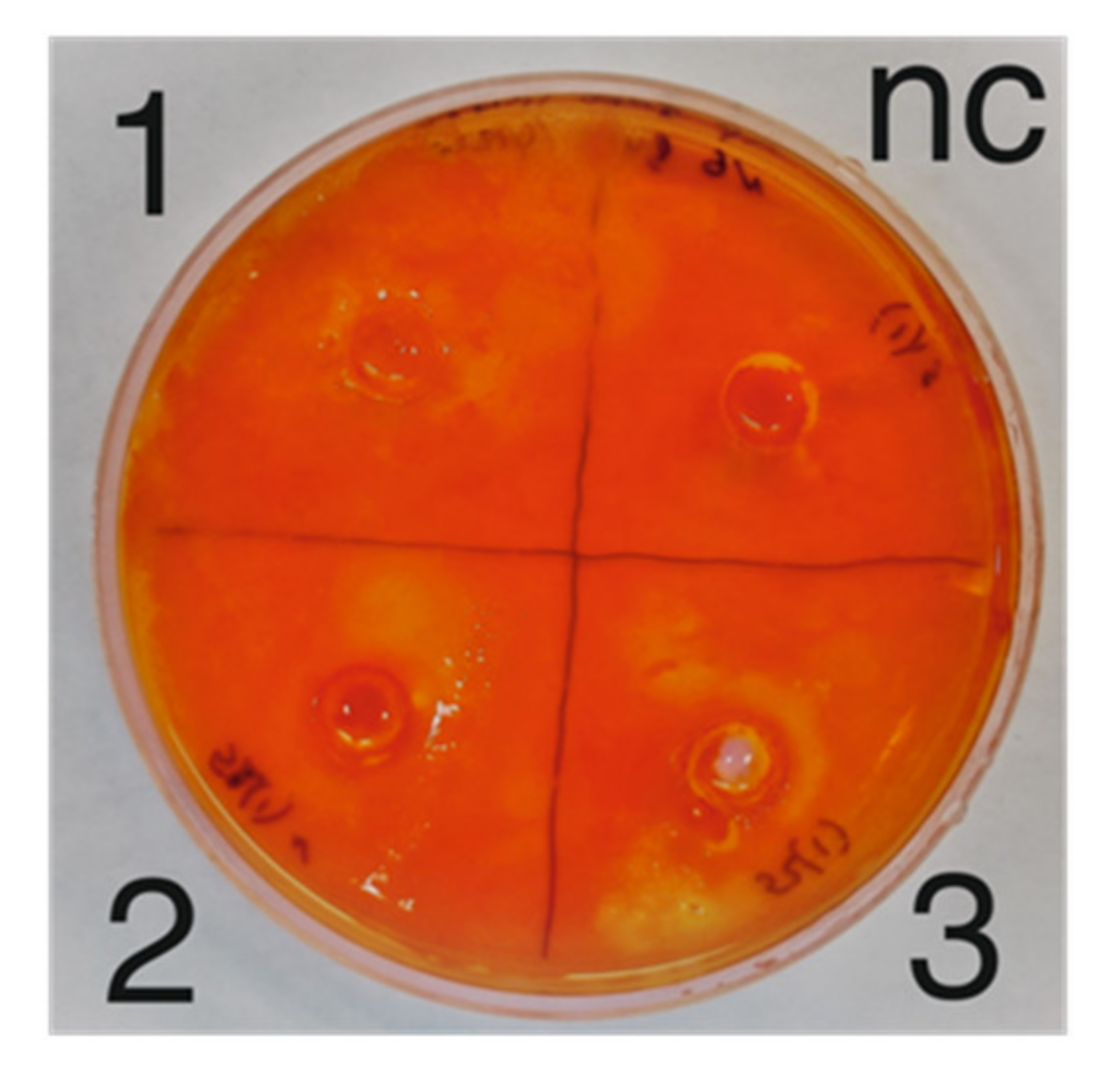 Microorganisms 09 01521 g004