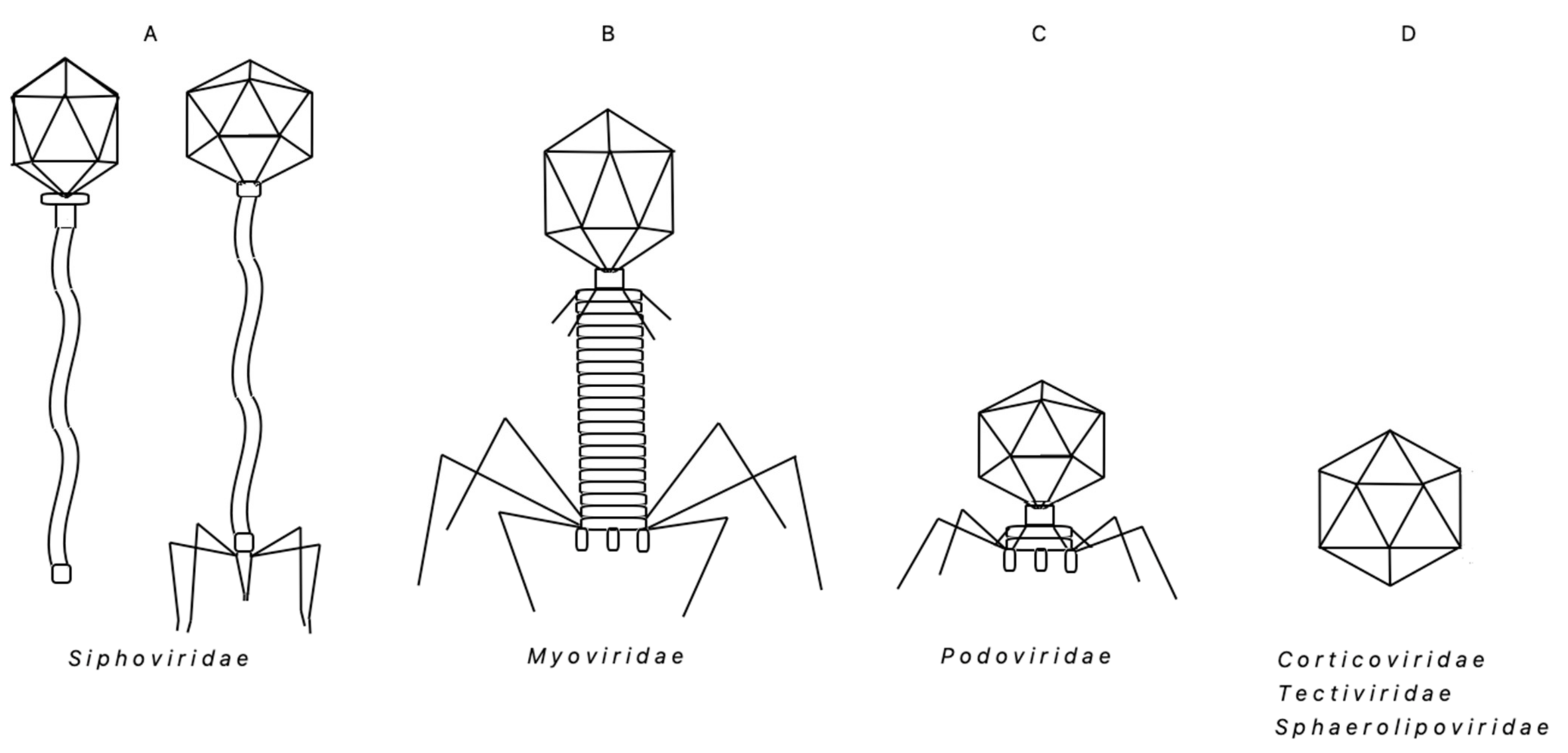 Microorganisms 09 01522 g001 Microorganisms 09 01522 g001