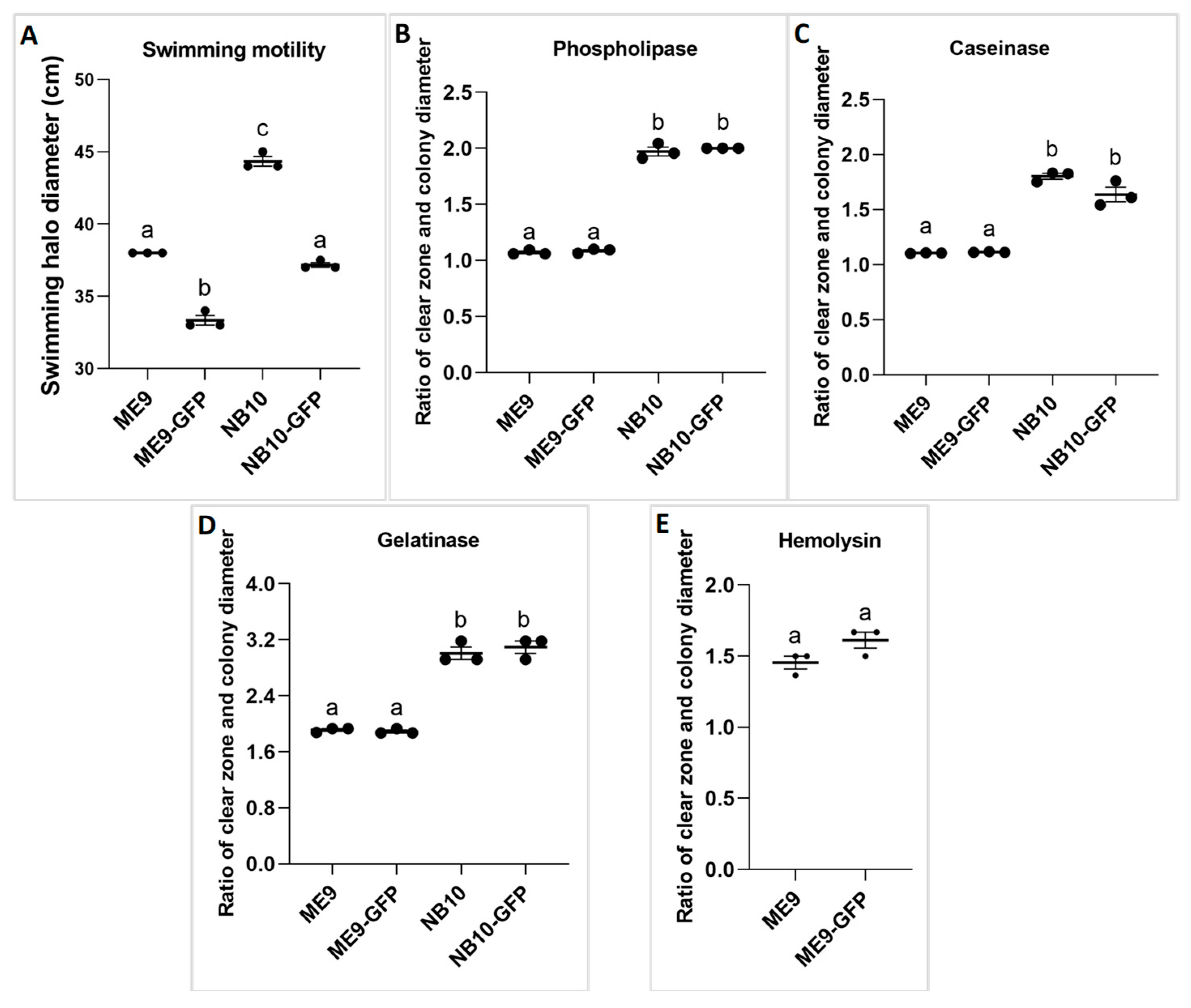 Microorganisms Free Full Text Dynamic Immune Response To Vibriosis In Pacific Oyster Crassostrea Gigas Larvae During The Infection Process As Supported By Accurate Positioning Of Gfp ged Vibrio Strains Html Microorganisms Free Full Text Dynamic Immune Response To Vibriosis In Pacific Oyster Crassostrea Gigas Larvae During The Infection Process As Supported By Accurate Positioning Of Gfp ged Vibrio Strains Html