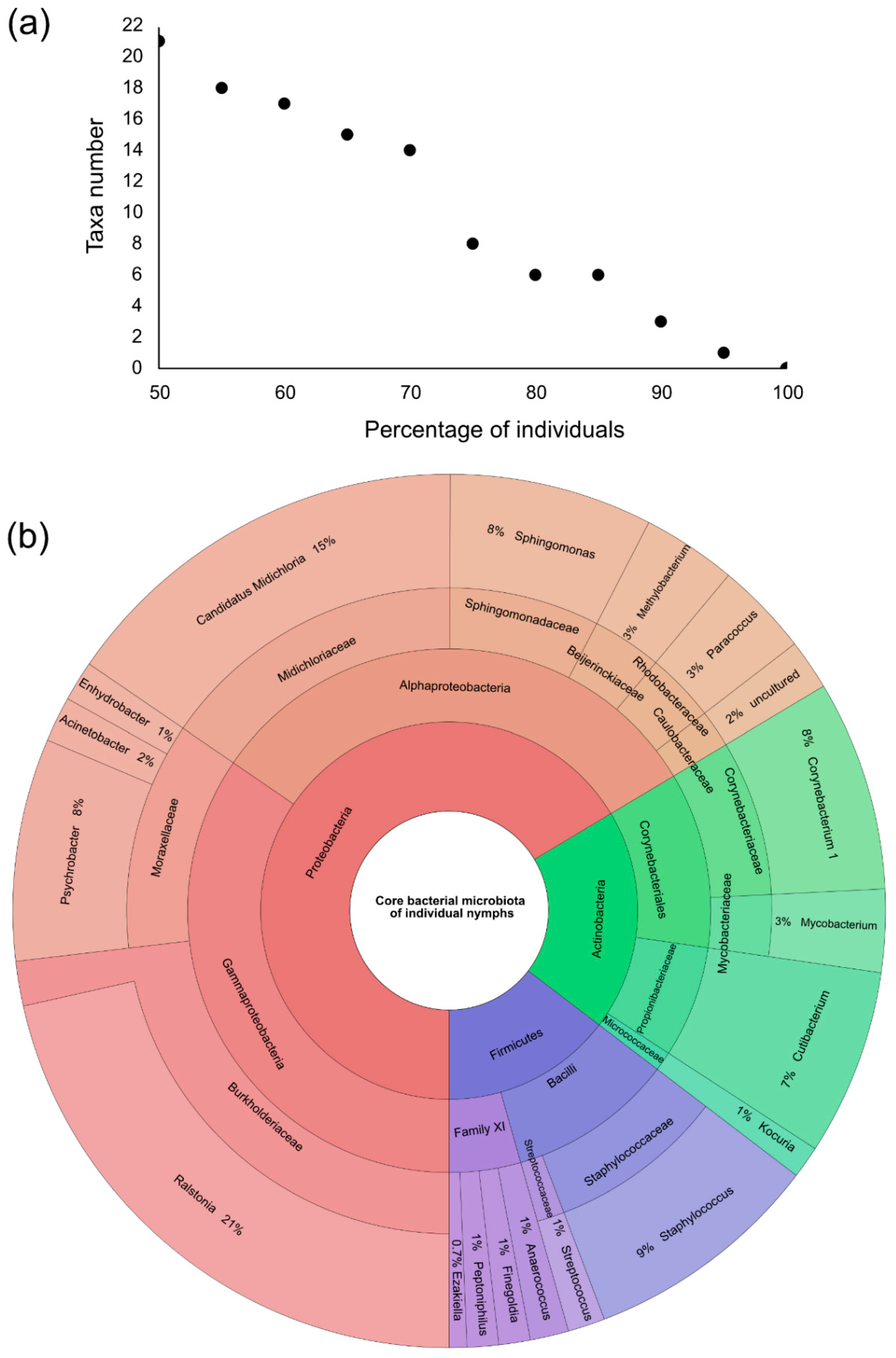 Microorganisms 09 01526 g004 550