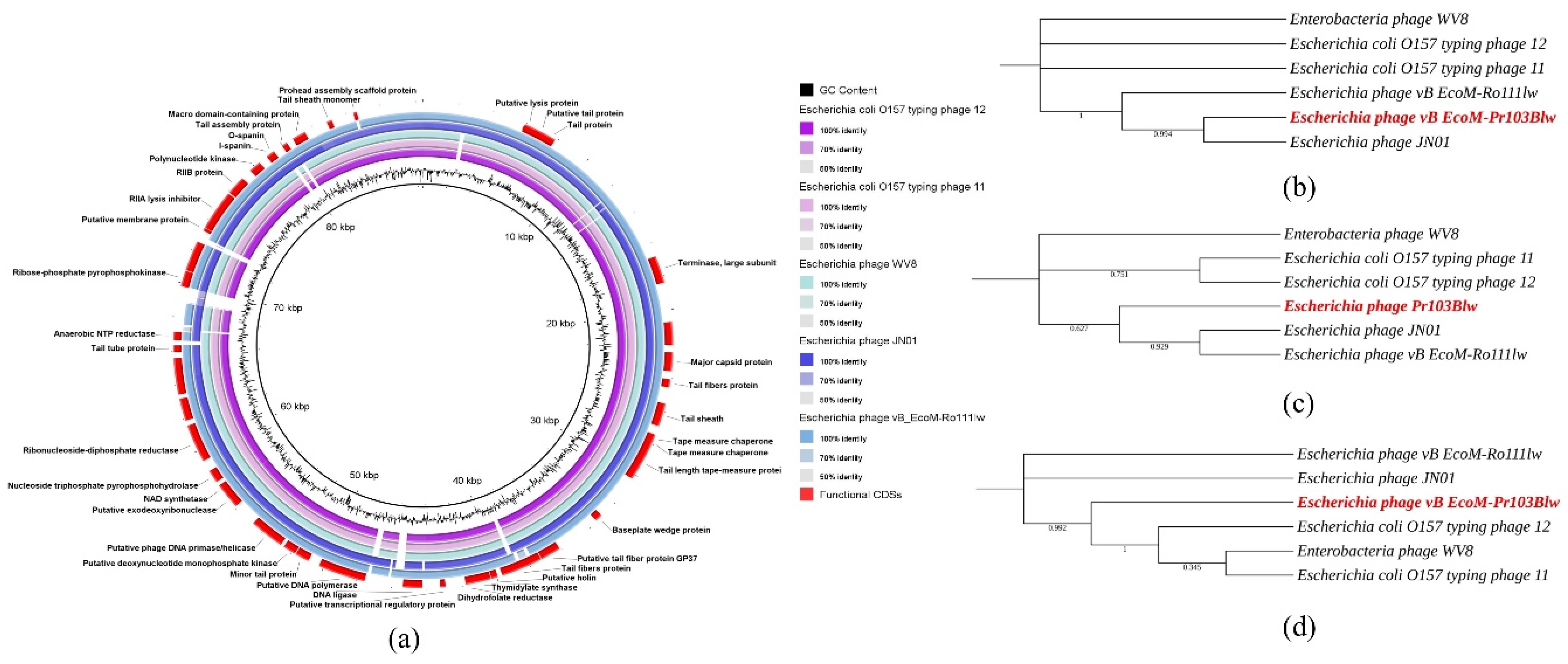 Microorganisms 09 01527 g006 Microorganisms 09 01527 g006