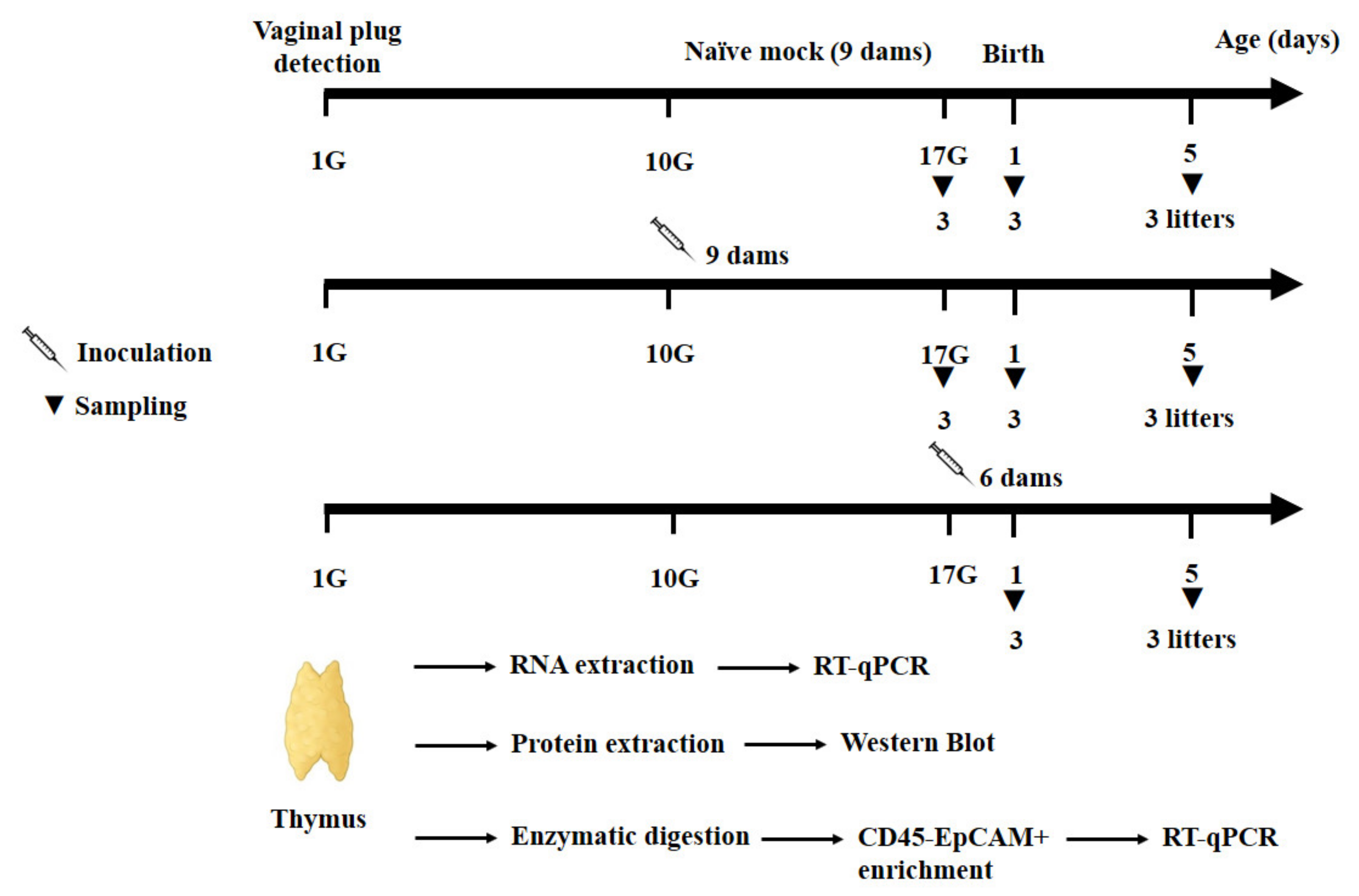 Microorganisms 09 01537 g001 Microorganisms 09 01537 g001