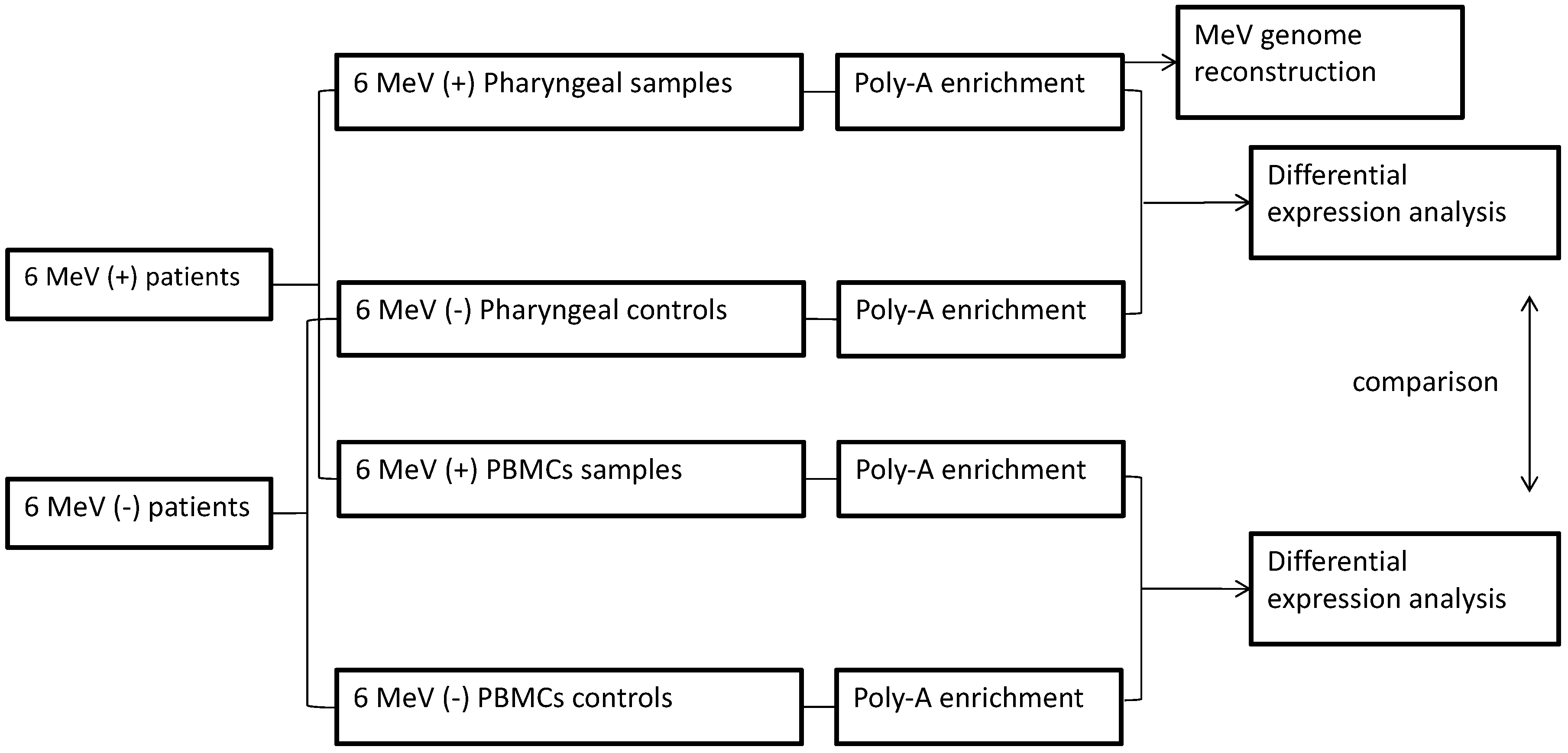 Microorganisms 09 01538 g001 Microorganisms 09 01538 g001