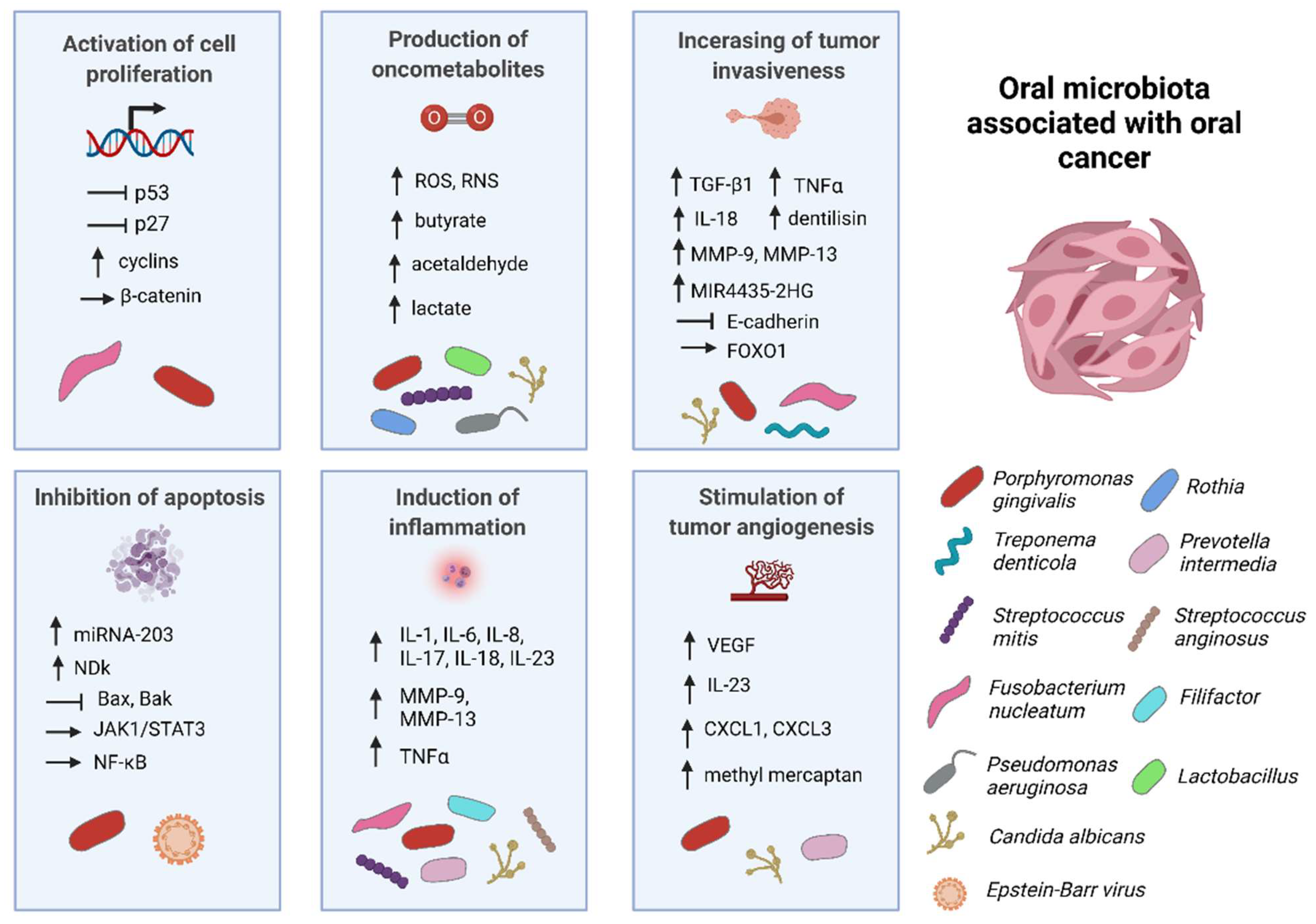 Microorganisms 09 01549 g001 Microorganisms 09 01549 g001