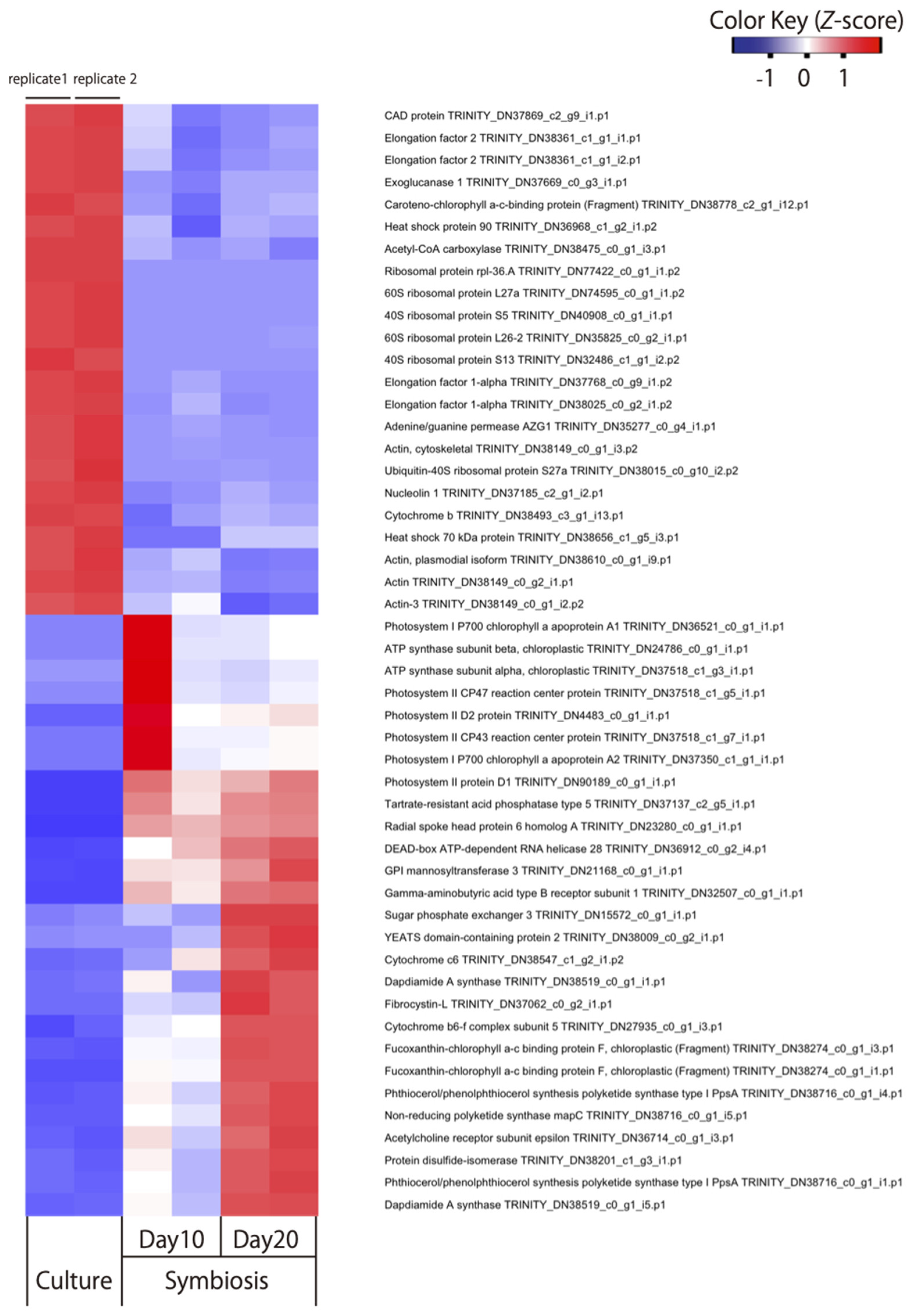 Microorganisms 09 01560 g001 550