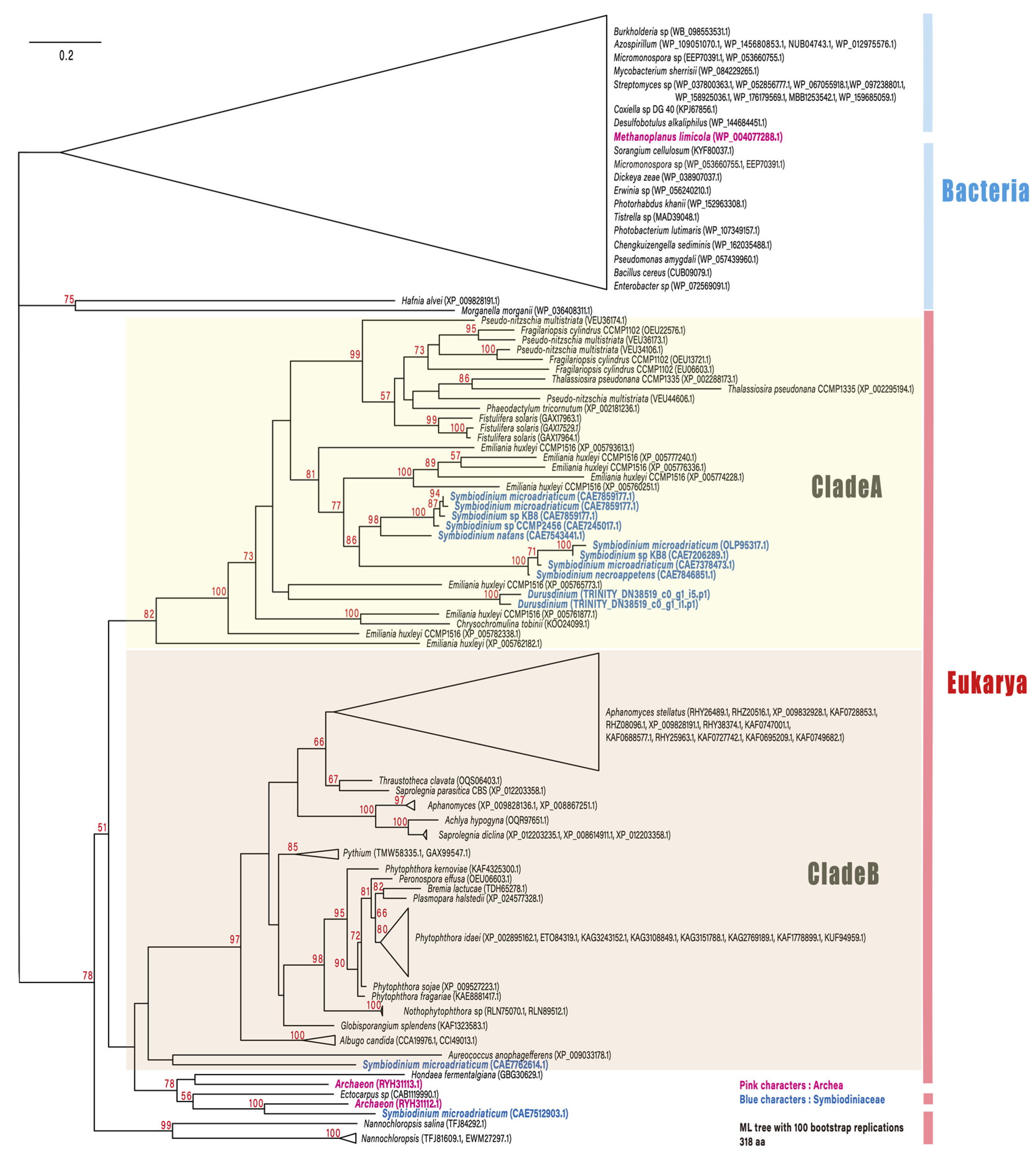 Microorganisms 09 01560 g002 550
