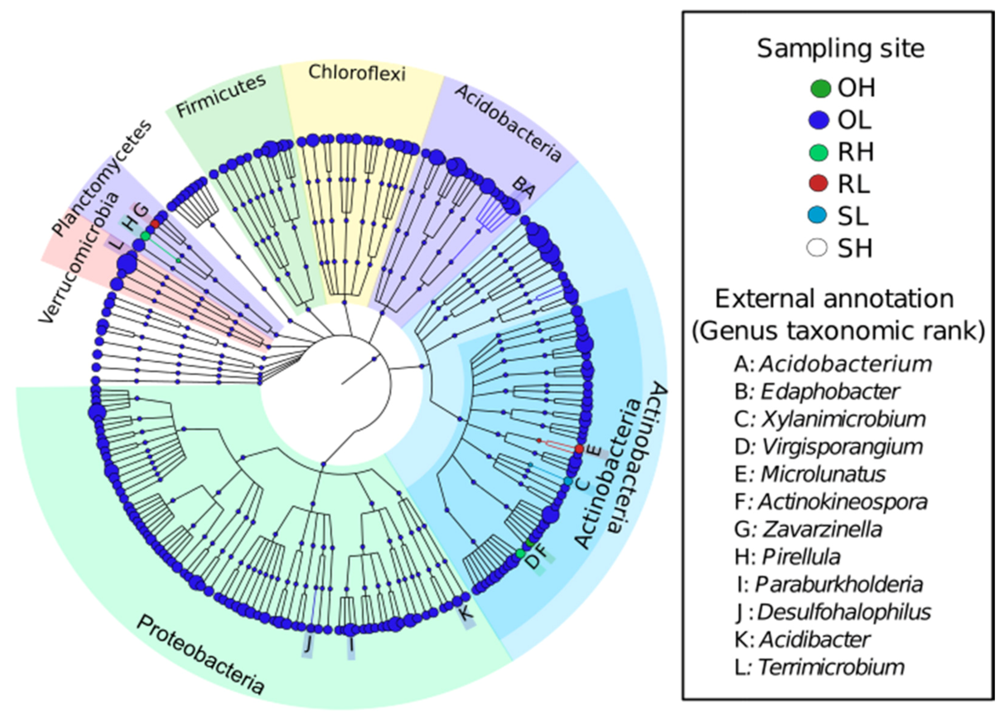 Microorganisms 09 01562 g005