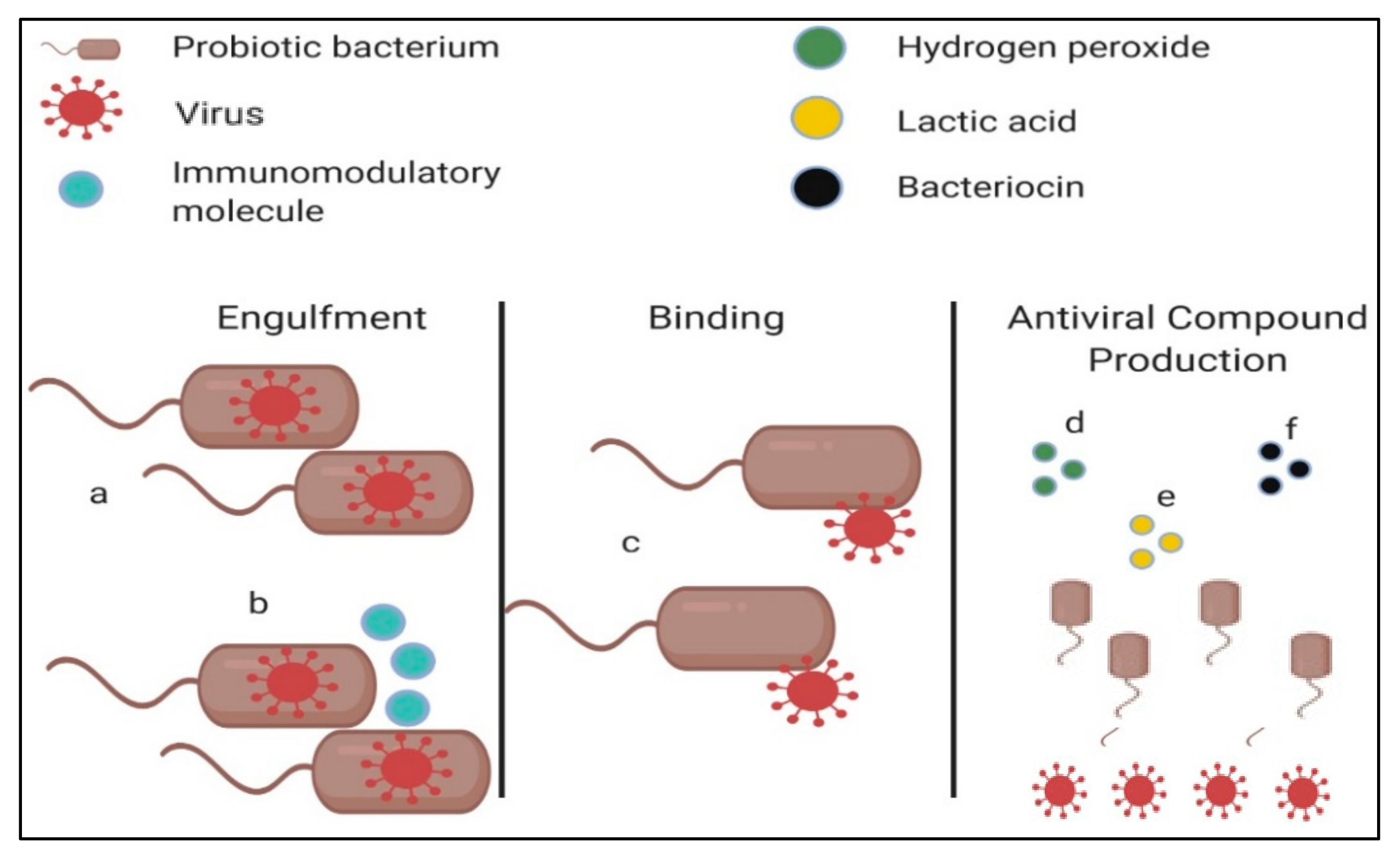 Microorganisms 09 01565 g003