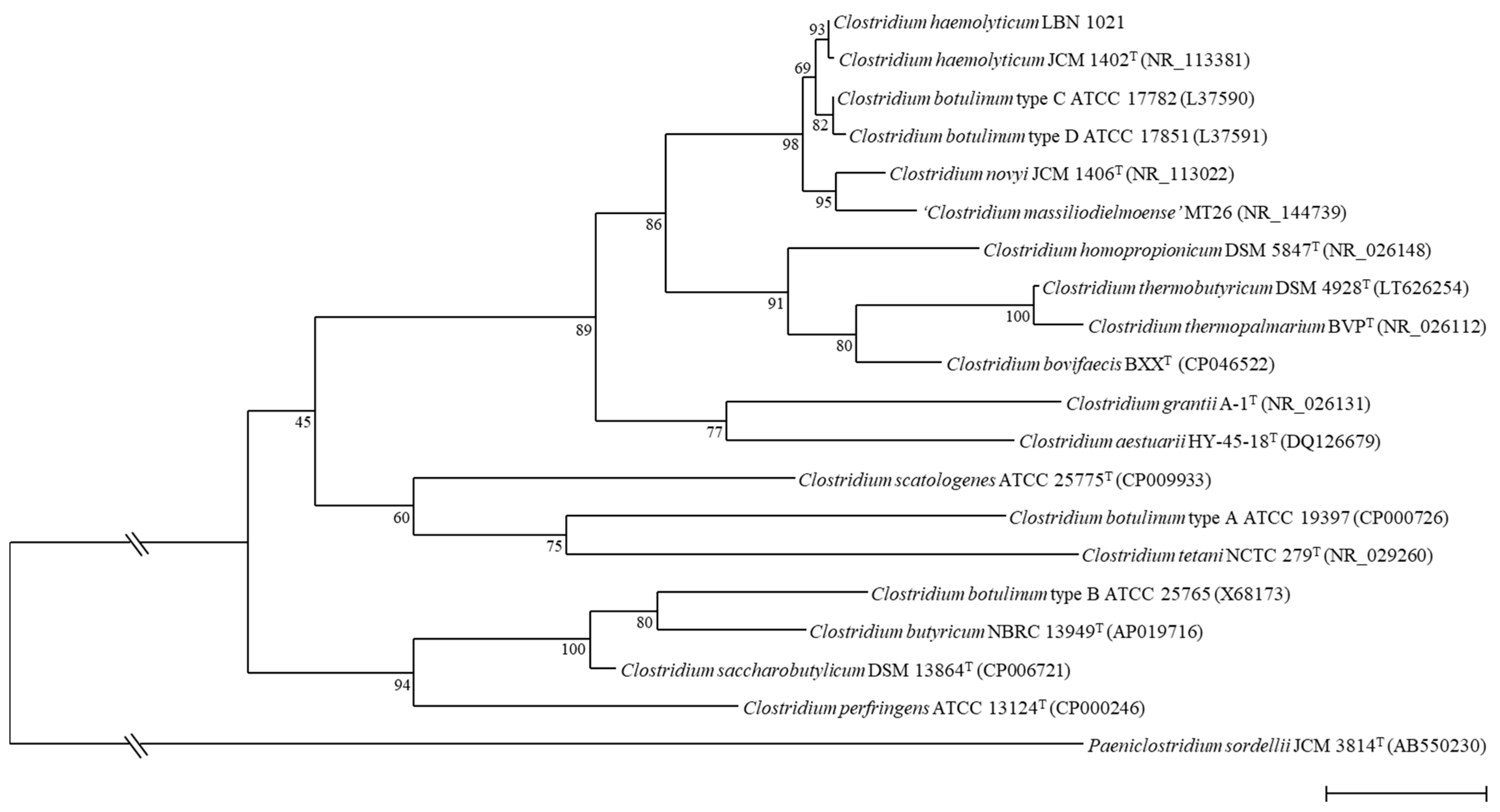 Microorganisms 09 01568 g001