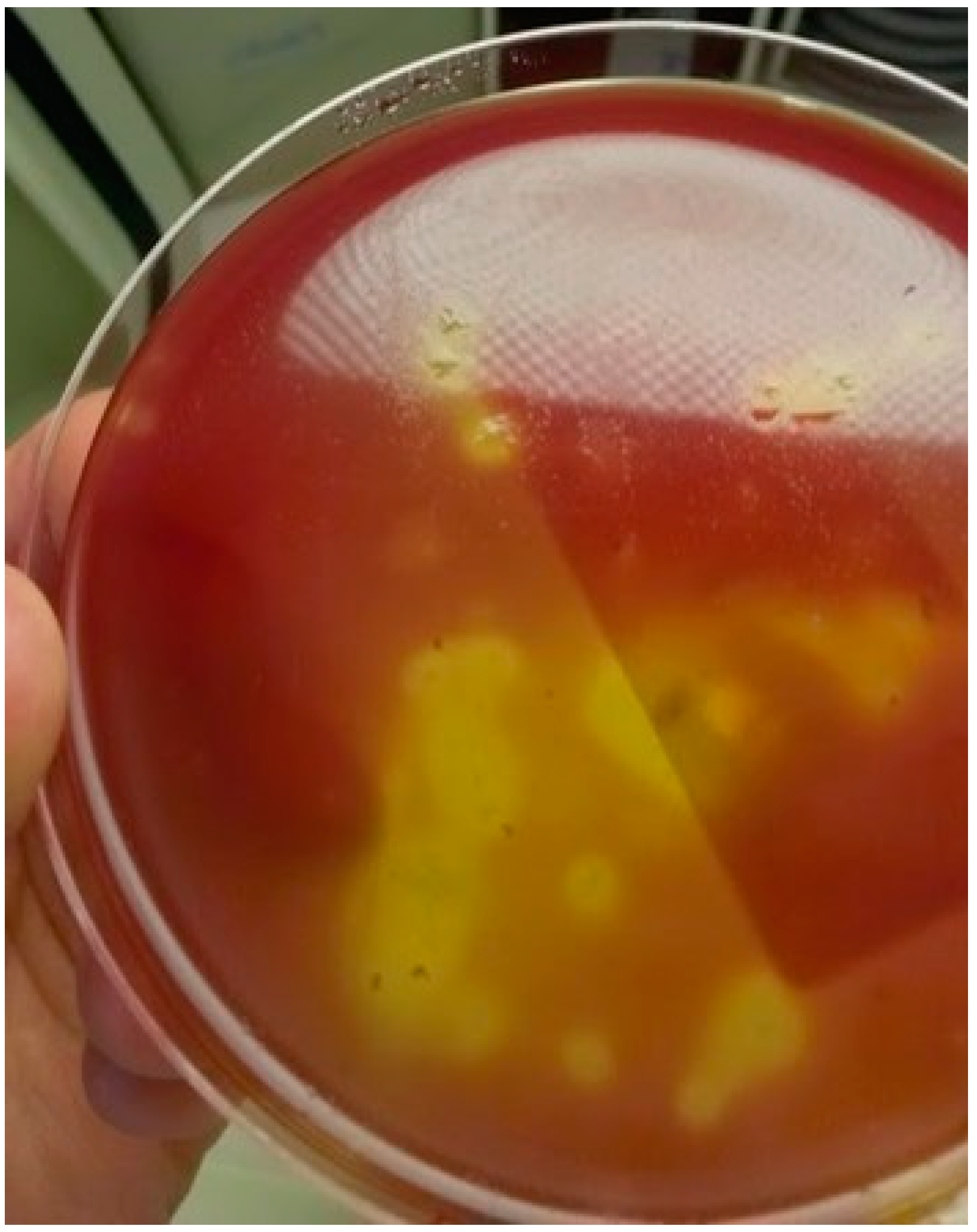 Microorganisms 09 01568 g002