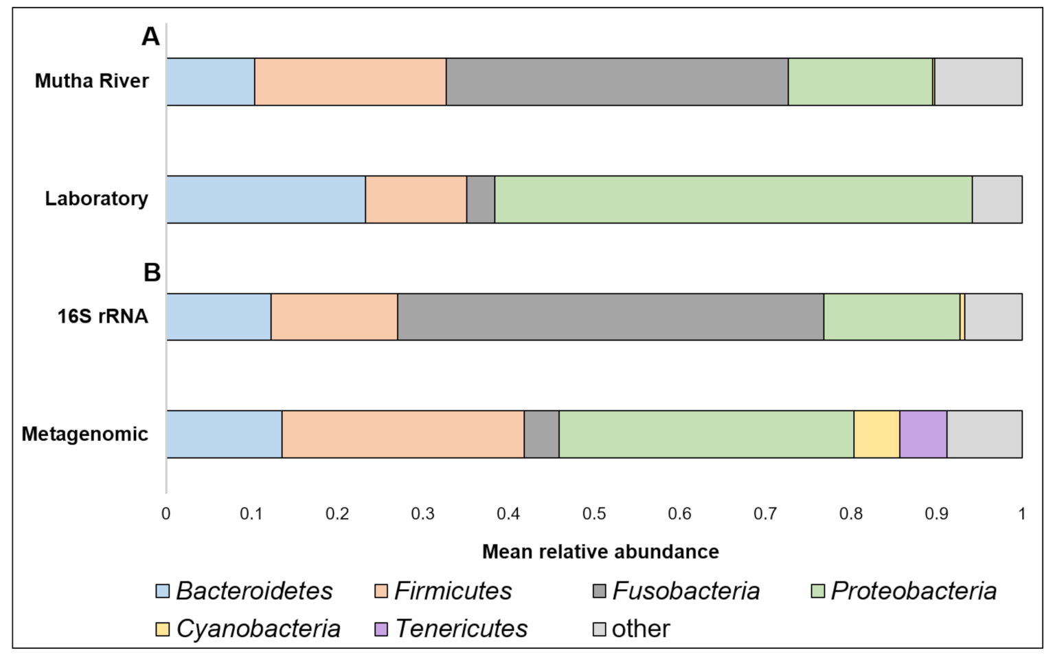 Microorganisms 09 01571 g001