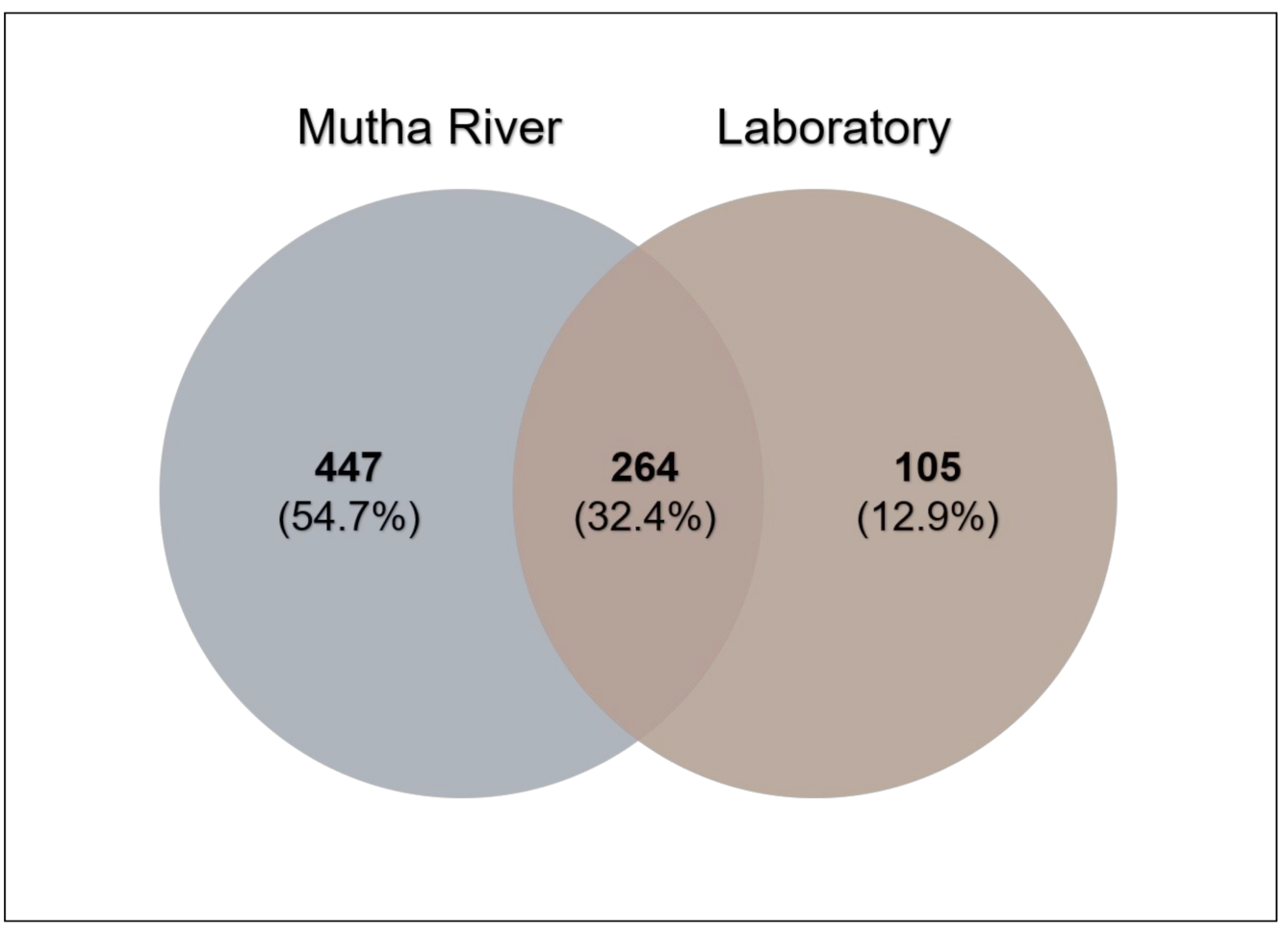 Microorganisms 09 01571 g003