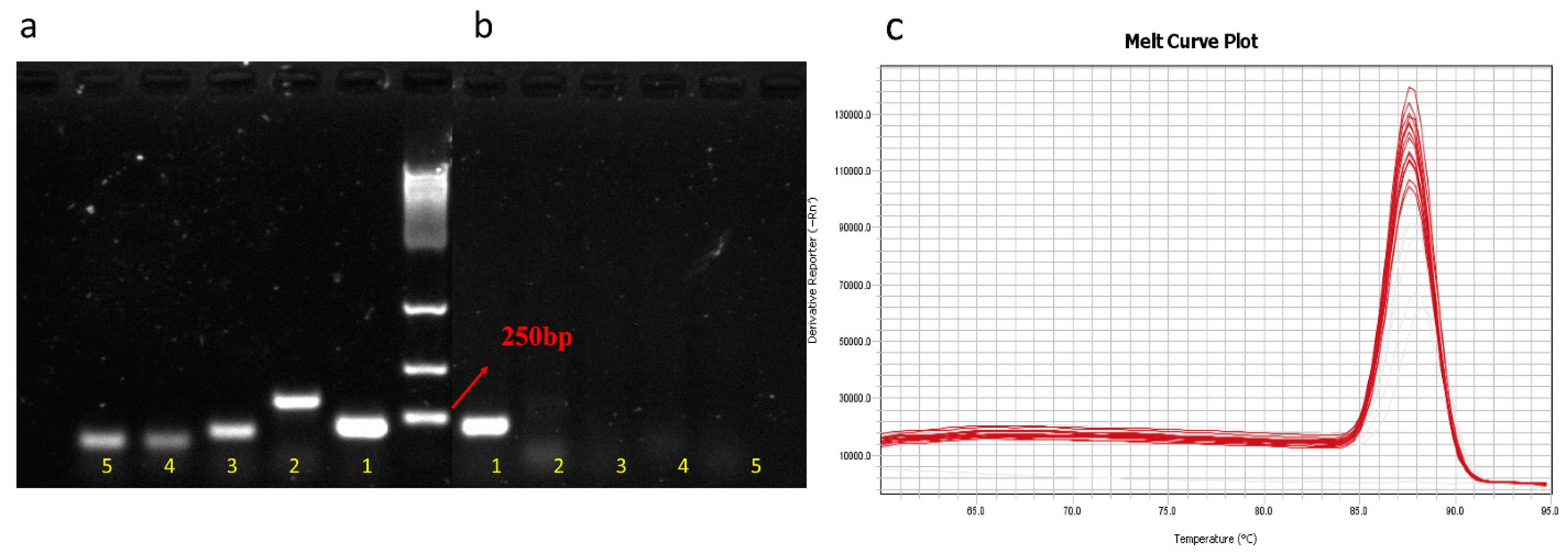 Microorganisms 09 01573 g001