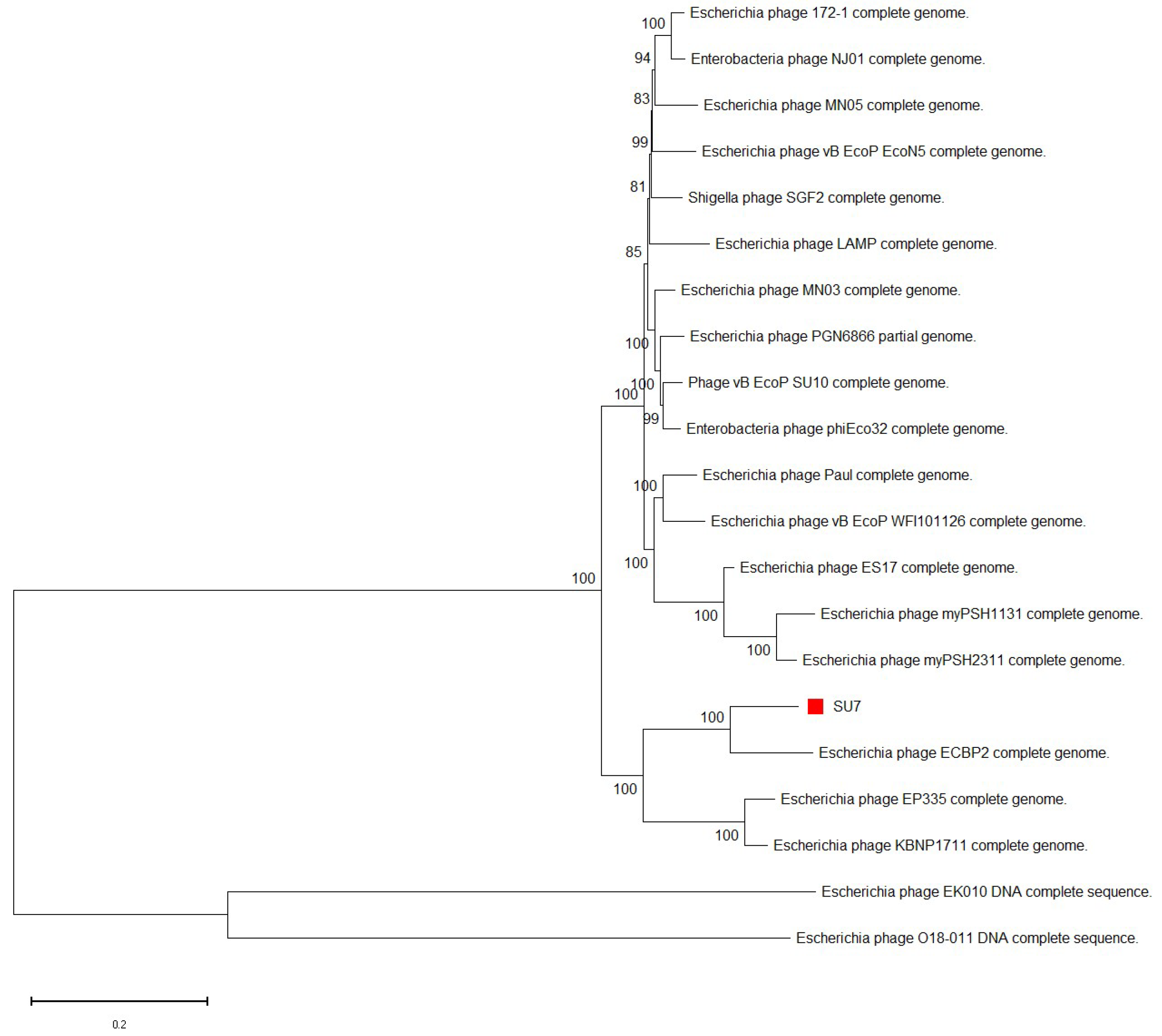Microorganisms 09 01576 g004